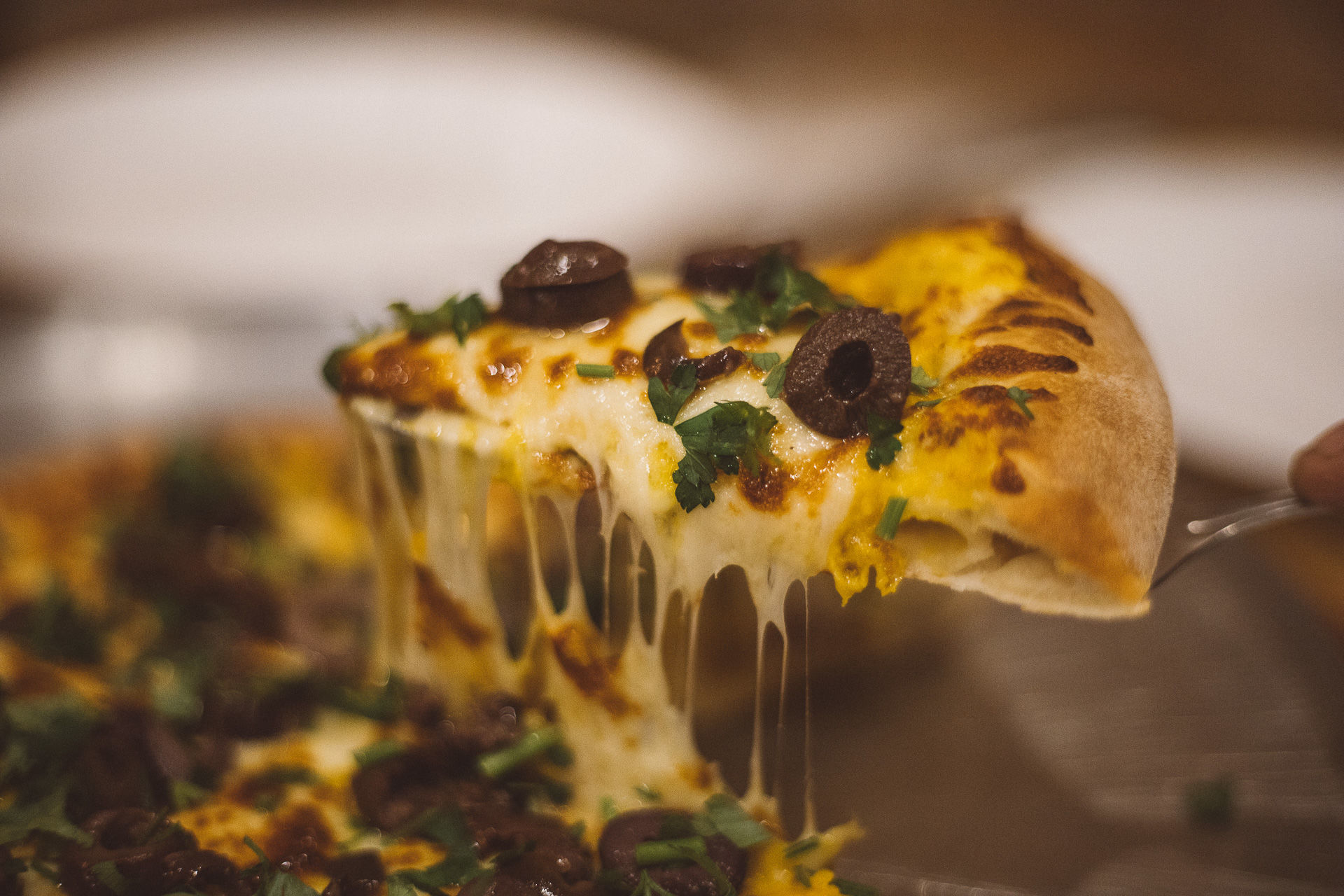 Foto Festival Sabores de Lages - Imagem 10