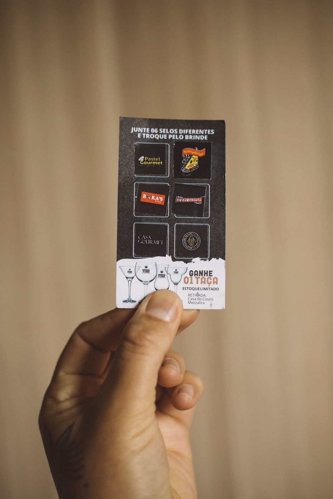 Foto Festival Sabores de Lages - Imagem 33