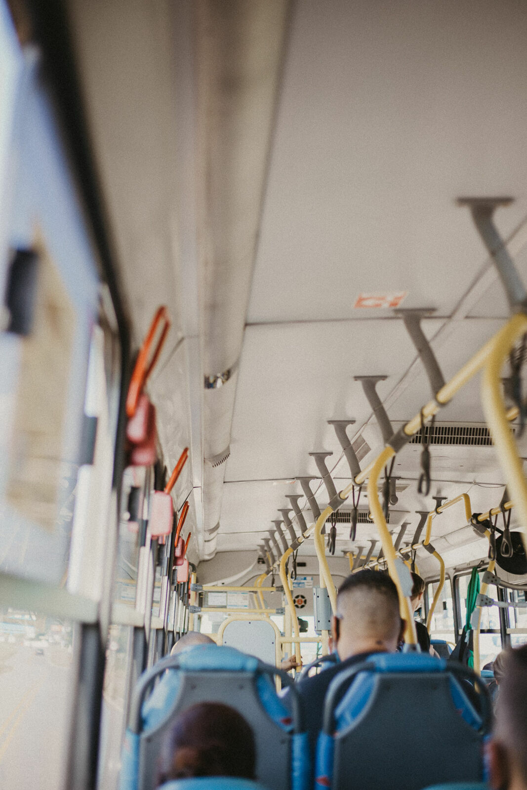 Foto Rolê Aleatório de Mochileira 1: Trilha Morro da Aranha - Imagem 3