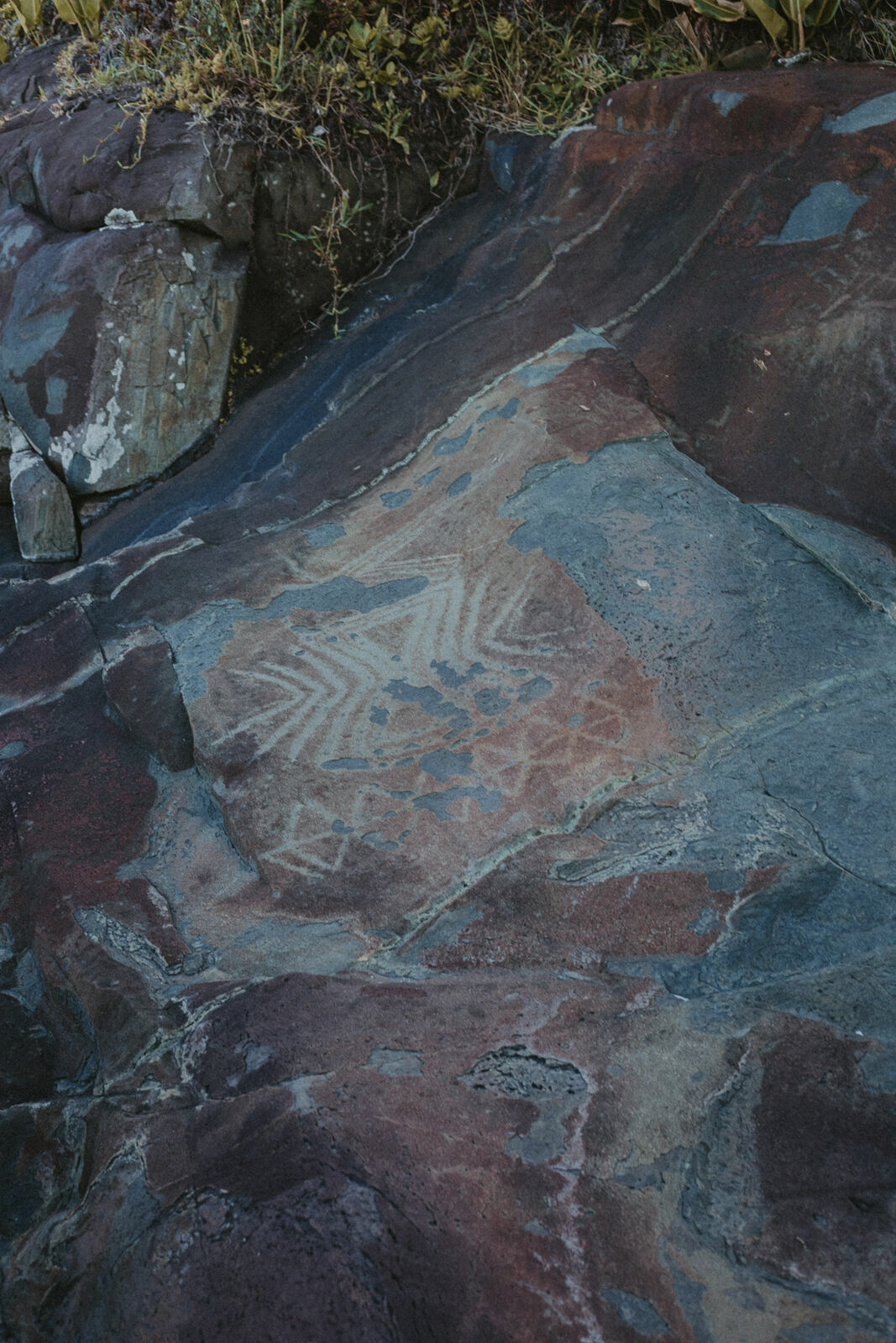 Foto Rolê Aleatório de Mochileira 1: Trilha Morro da Aranha - Imagem 23