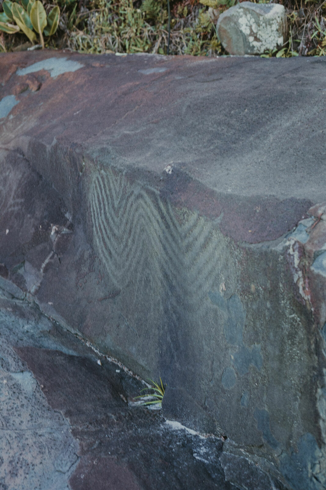 Foto Rolê Aleatório de Mochileira 1: Trilha Morro da Aranha - Imagem 24