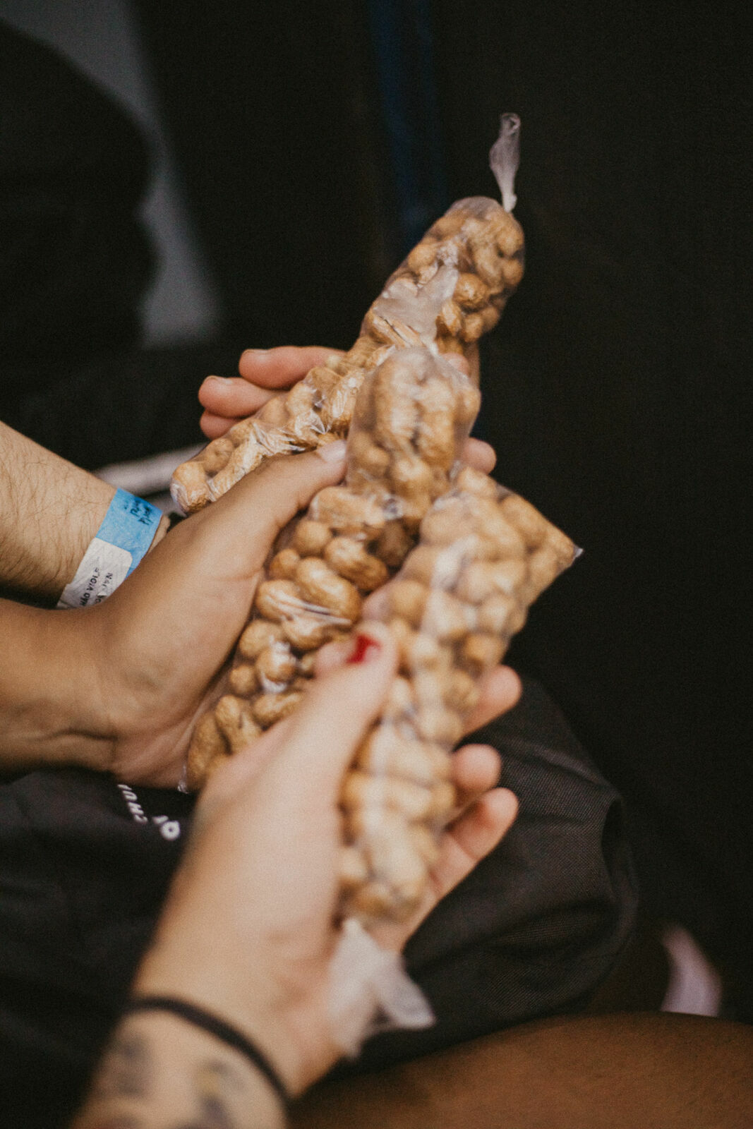Foto Rolê Aleatório de Mochileira 1: Trilha Morro da Aranha - Imagem 40