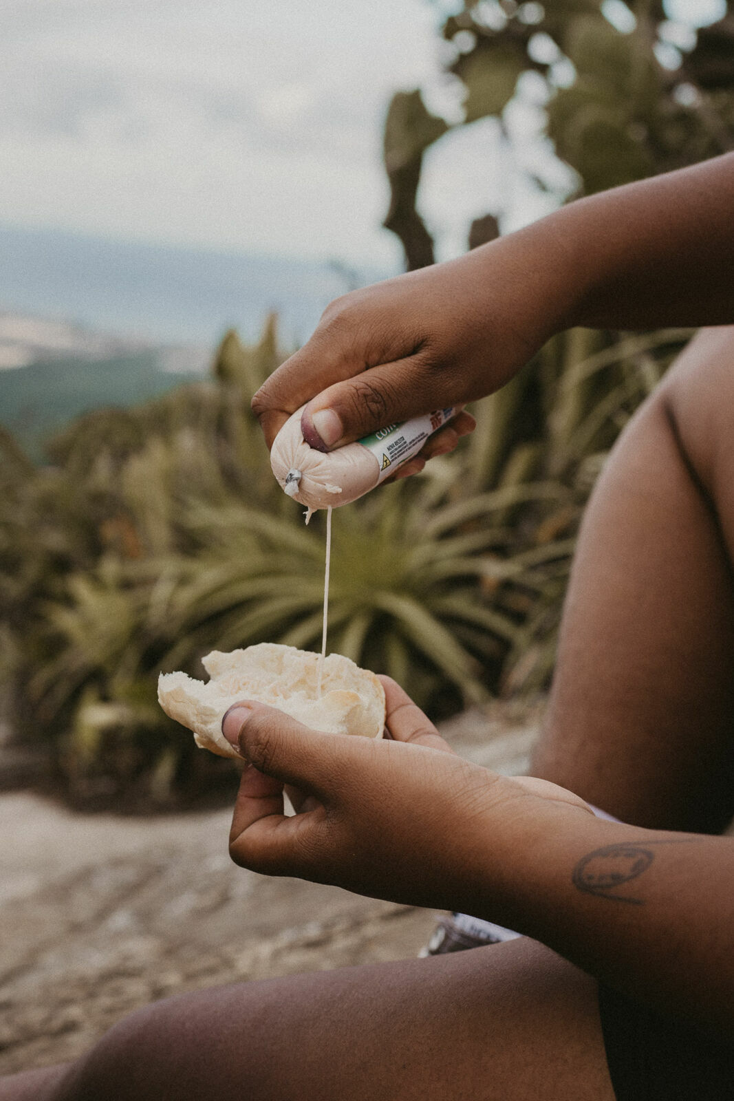 Foto Rolê Aleatório de Mochileira 1: Trilha Morro da Aranha - Imagem 38