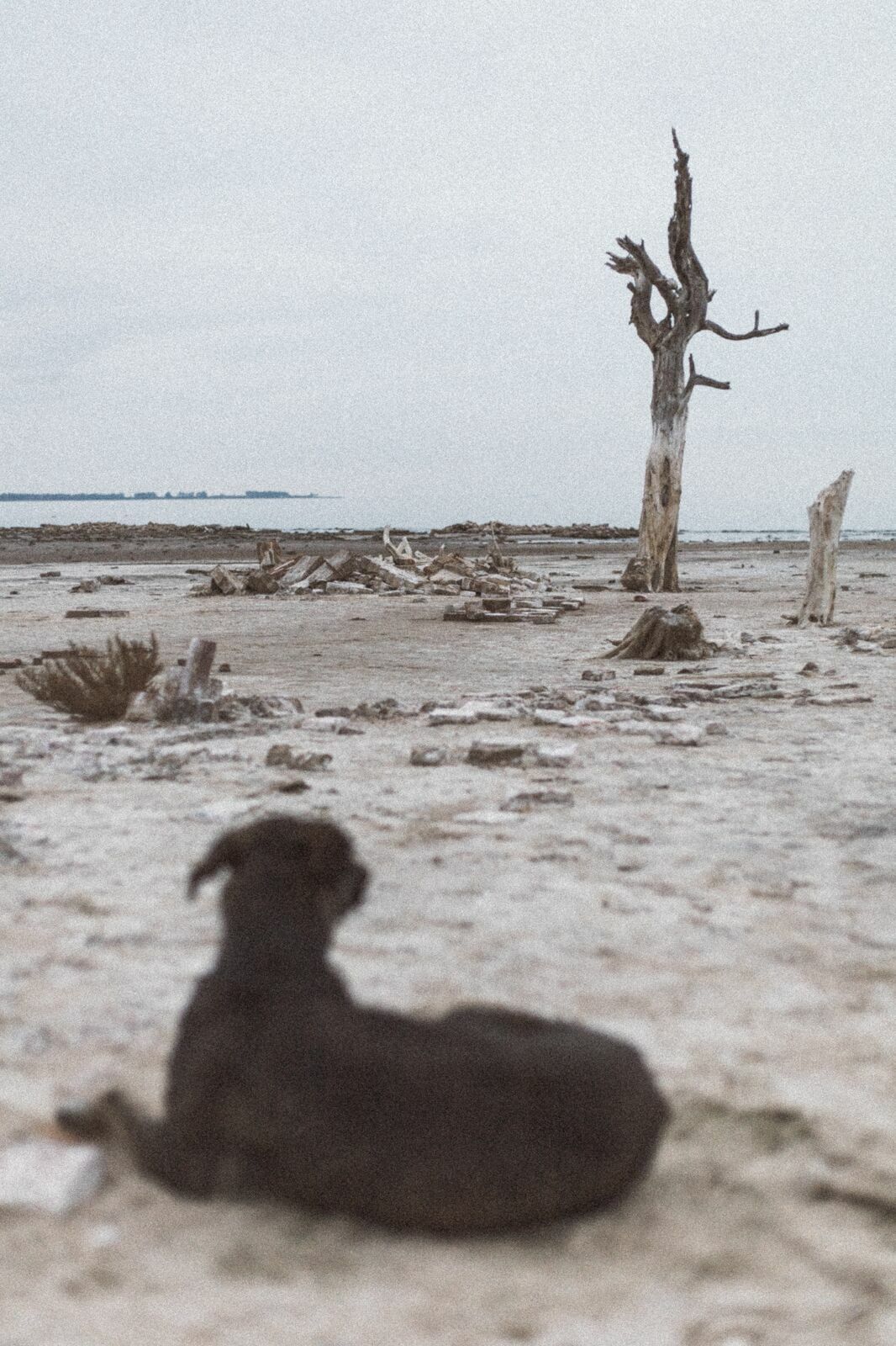 Foto Rolê aleatório de mochileira II - camping/coffee na salina da Laguna Mar Chiquita  - Imagem 17