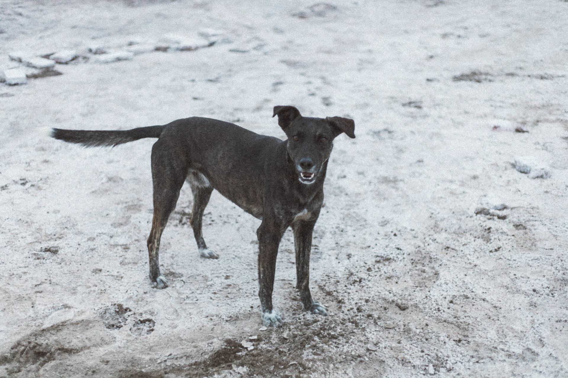 Foto Rolê aleatório de mochileira II - camping/coffee na salina da Laguna Mar Chiquita  - Imagem 20
