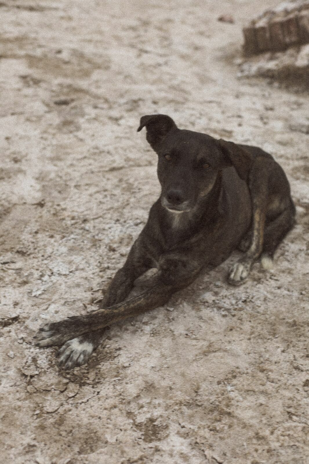 Foto Rolê aleatório de mochileira II - camping/coffee na salina da Laguna Mar Chiquita  - Imagem 11