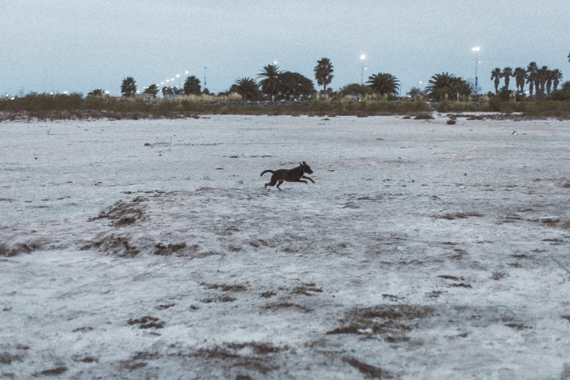 Foto Rolê aleatório de mochileira II - camping/coffee na salina da Laguna Mar Chiquita  - Imagem 21