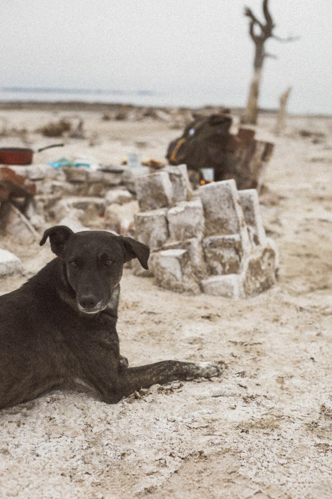 Foto Rolê aleatório de mochileira II - camping/coffee na salina da Laguna Mar Chiquita  - Imagem 8