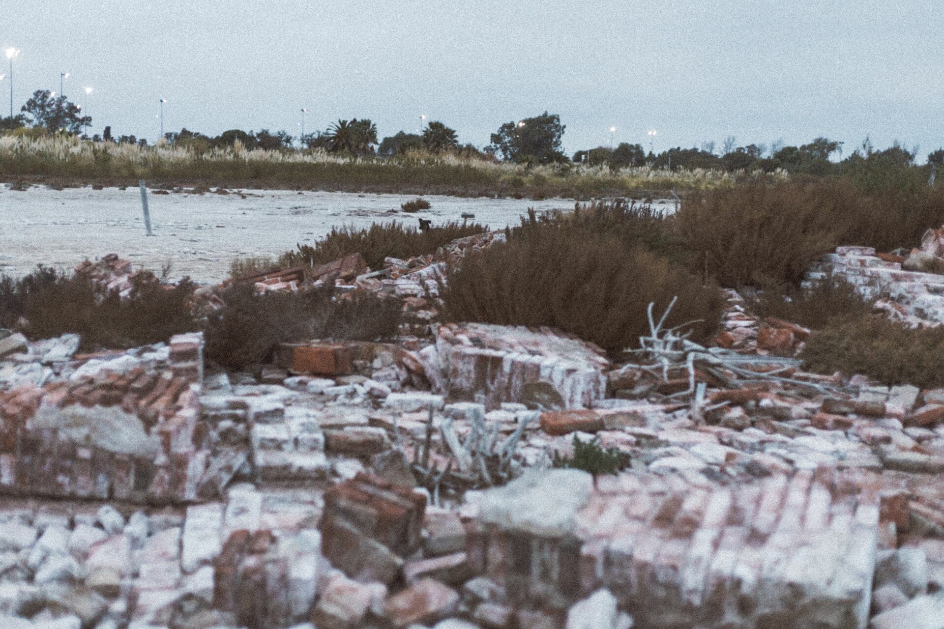 Foto Rolê aleatório de mochileira II - camping/coffee na salina da Laguna Mar Chiquita  - Imagem 23