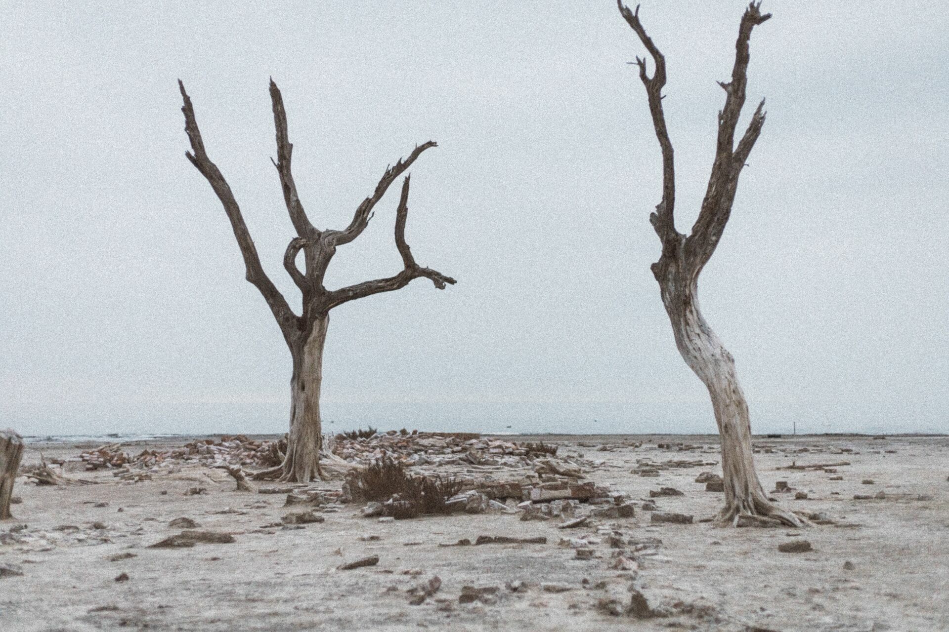Foto Rolê aleatório de mochileira II - camping/coffee na salina da Laguna Mar Chiquita  - Imagem 16