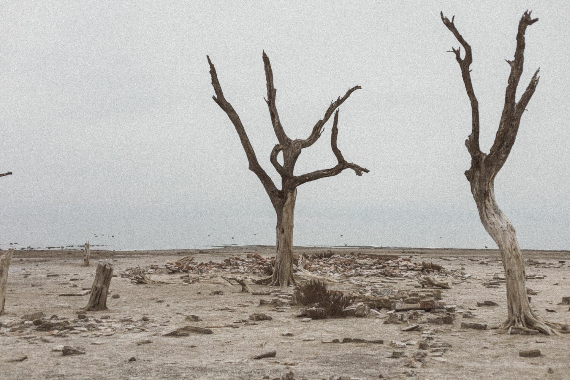 Foto Rolê aleatório de mochileira II - camping/coffee na salina da Laguna Mar Chiquita  - Imagem 7