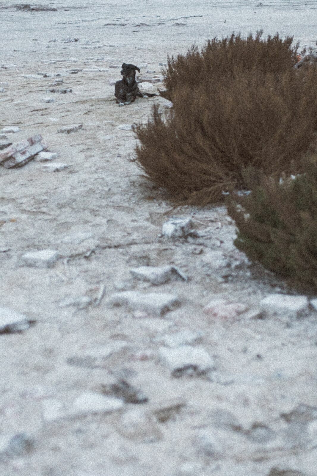 Foto Rolê aleatório de mochileira II - camping/coffee na salina da Laguna Mar Chiquita  - Imagem 24