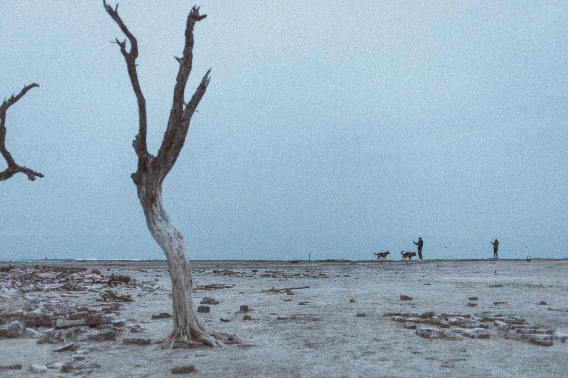 Foto Rolê aleatório de mochileira II - camping/coffee na salina da Laguna Mar Chiquita  - Imagem 25