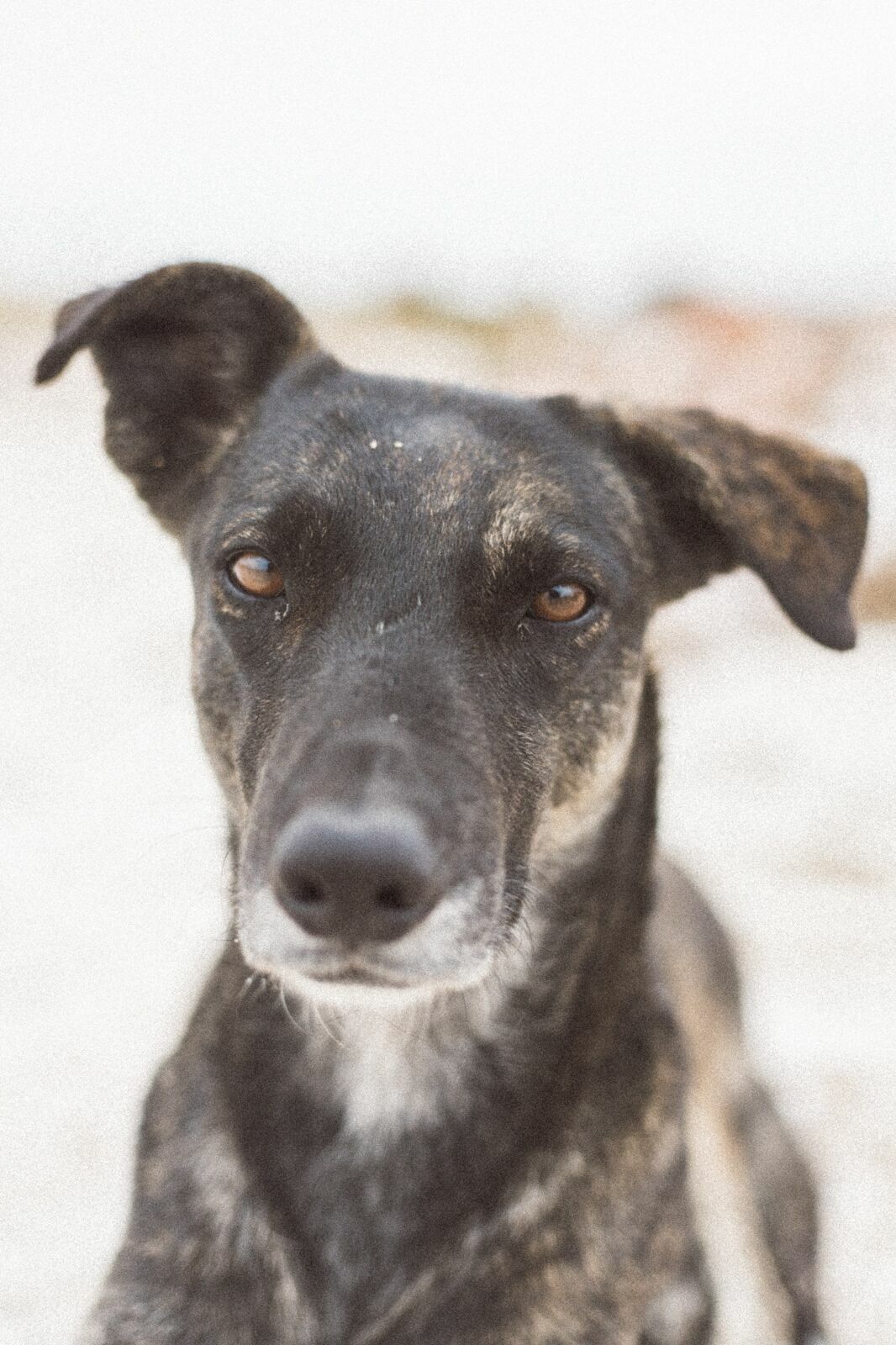 Foto Rolê aleatório de mochileira II - camping/coffee na salina da Laguna Mar Chiquita  - Imagem 12