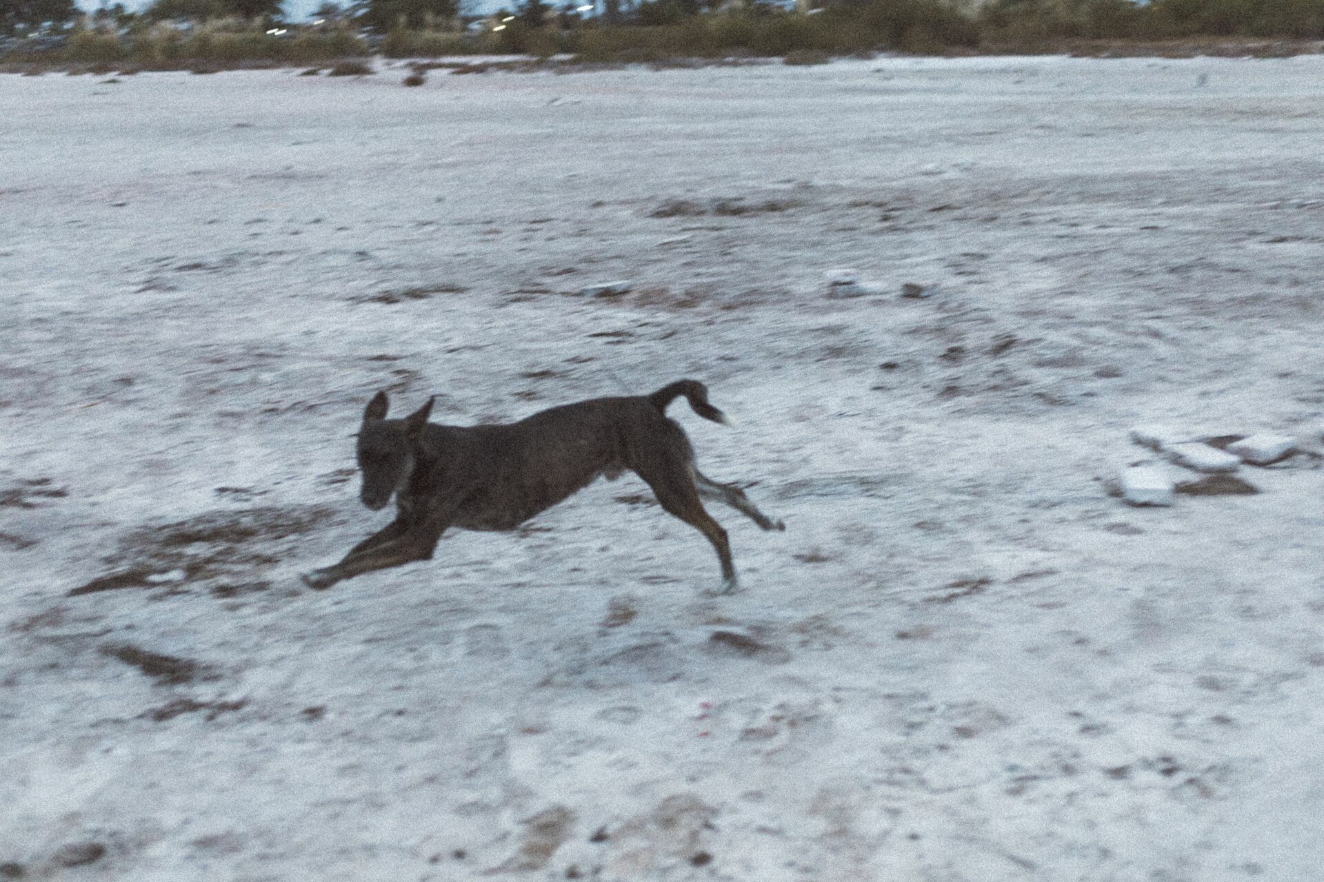 Foto Rolê aleatório de mochileira II - camping/coffee na salina da Laguna Mar Chiquita  - Imagem 22