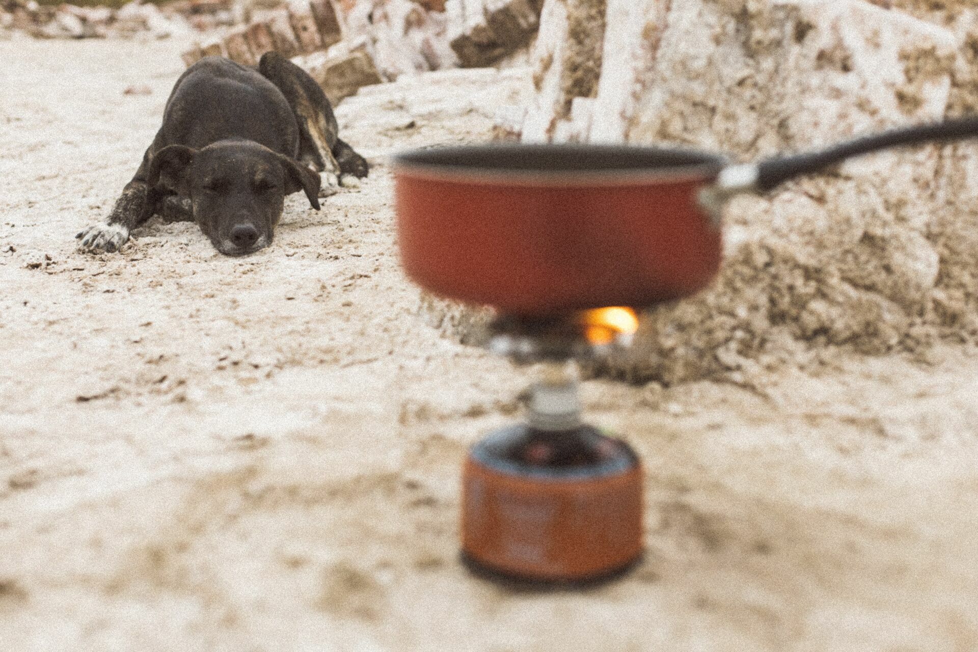 Foto Rolê aleatório de mochileira II - camping/coffee na salina da Laguna Mar Chiquita  - Imagem 4