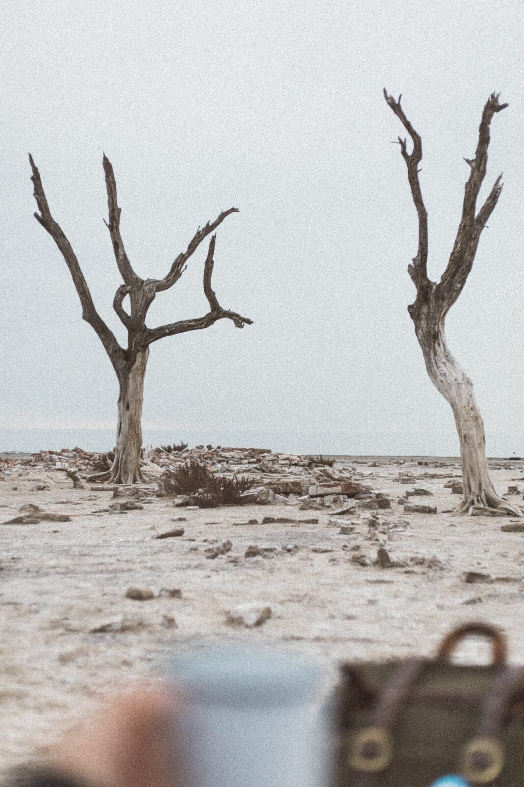 Foto Rolê aleatório de mochileira II - camping/coffee na salina da Laguna Mar Chiquita  - Imagem 14