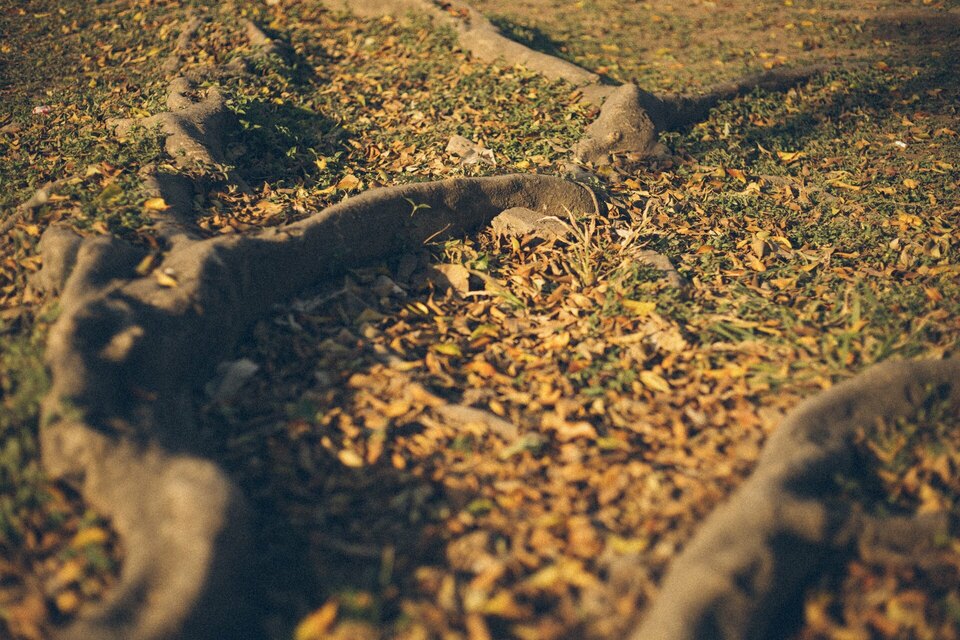 "O essencial é invisível aos olhos"