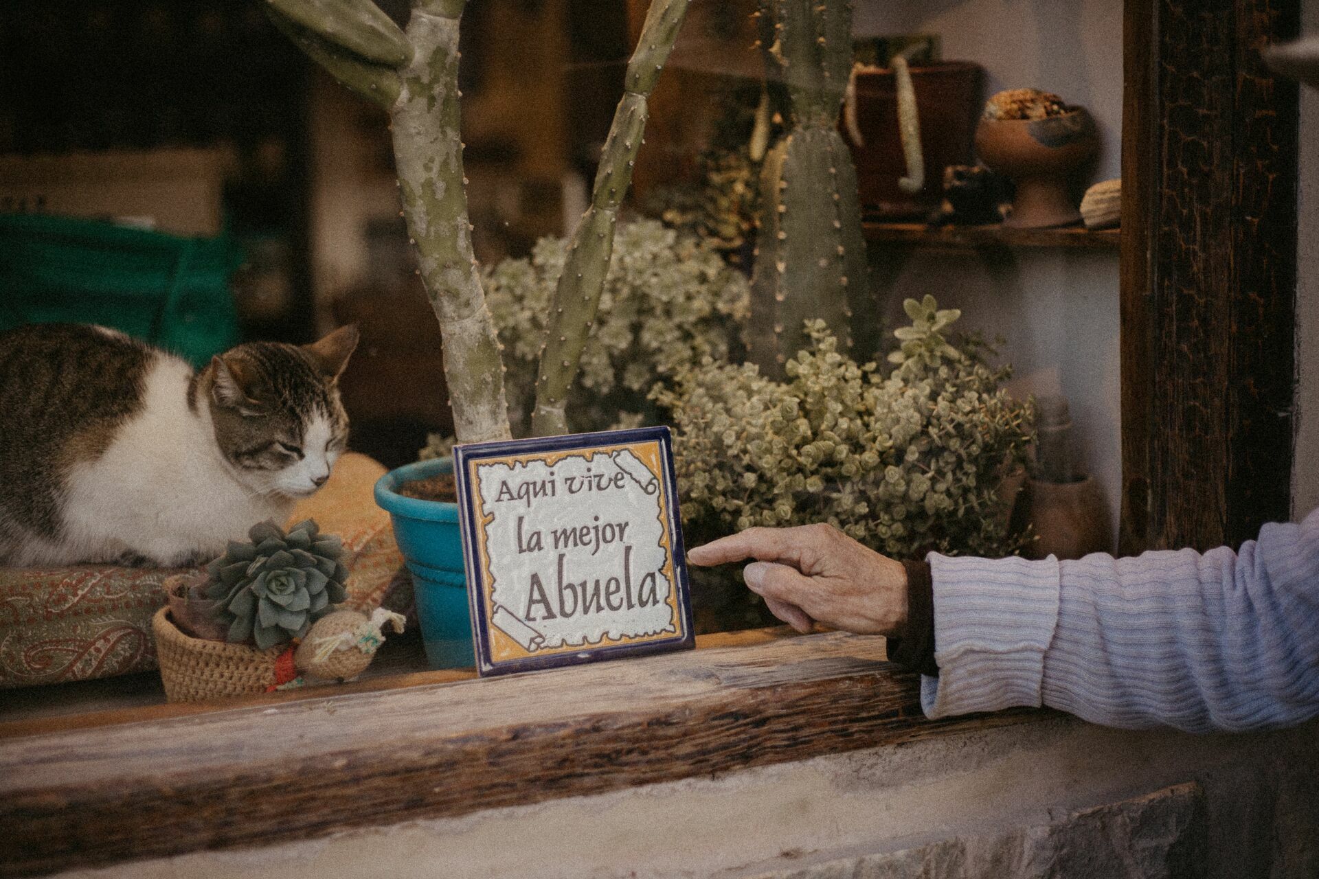 Foto Abuelita de Tilcara - Imagem 15