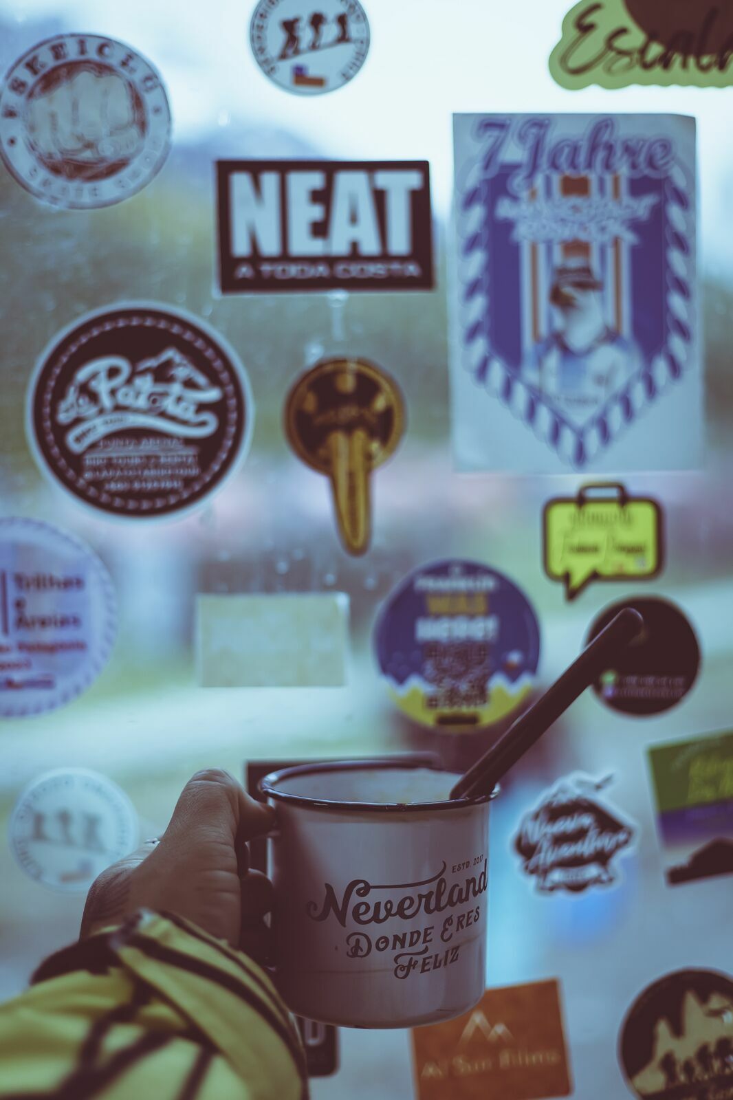 Foto Circuito W Torres del Paine - Uma travessia mágica - Imagem 11