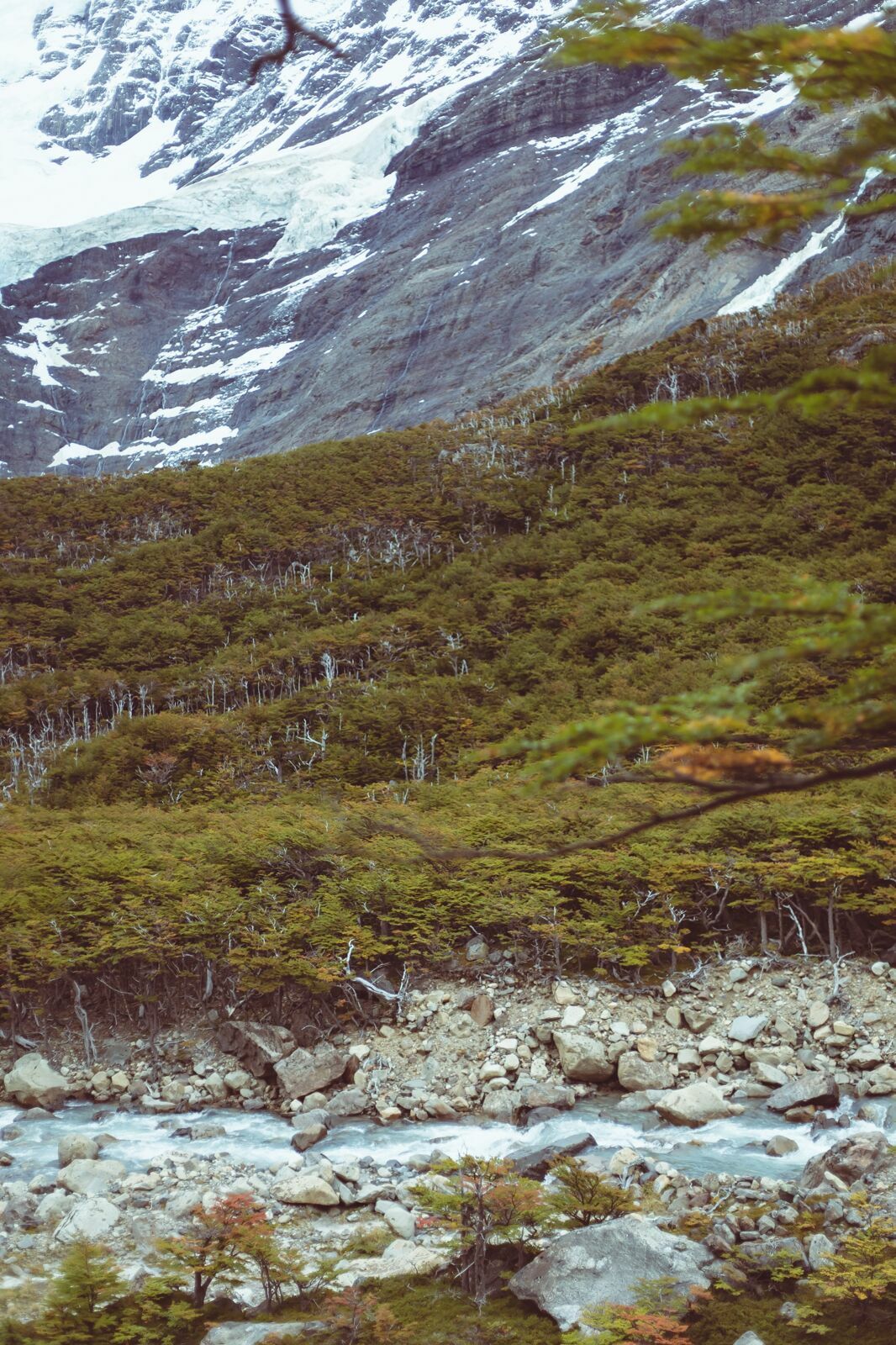 Foto Circuito W Torres del Paine - Uma travessia mágica - Imagem 18