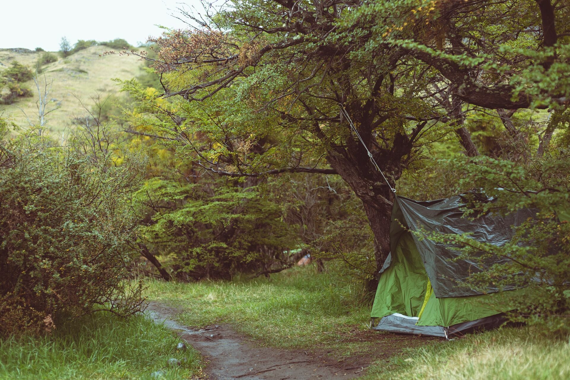 Foto Circuito W Torres del Paine - Uma travessia mágica - Imagem 29
