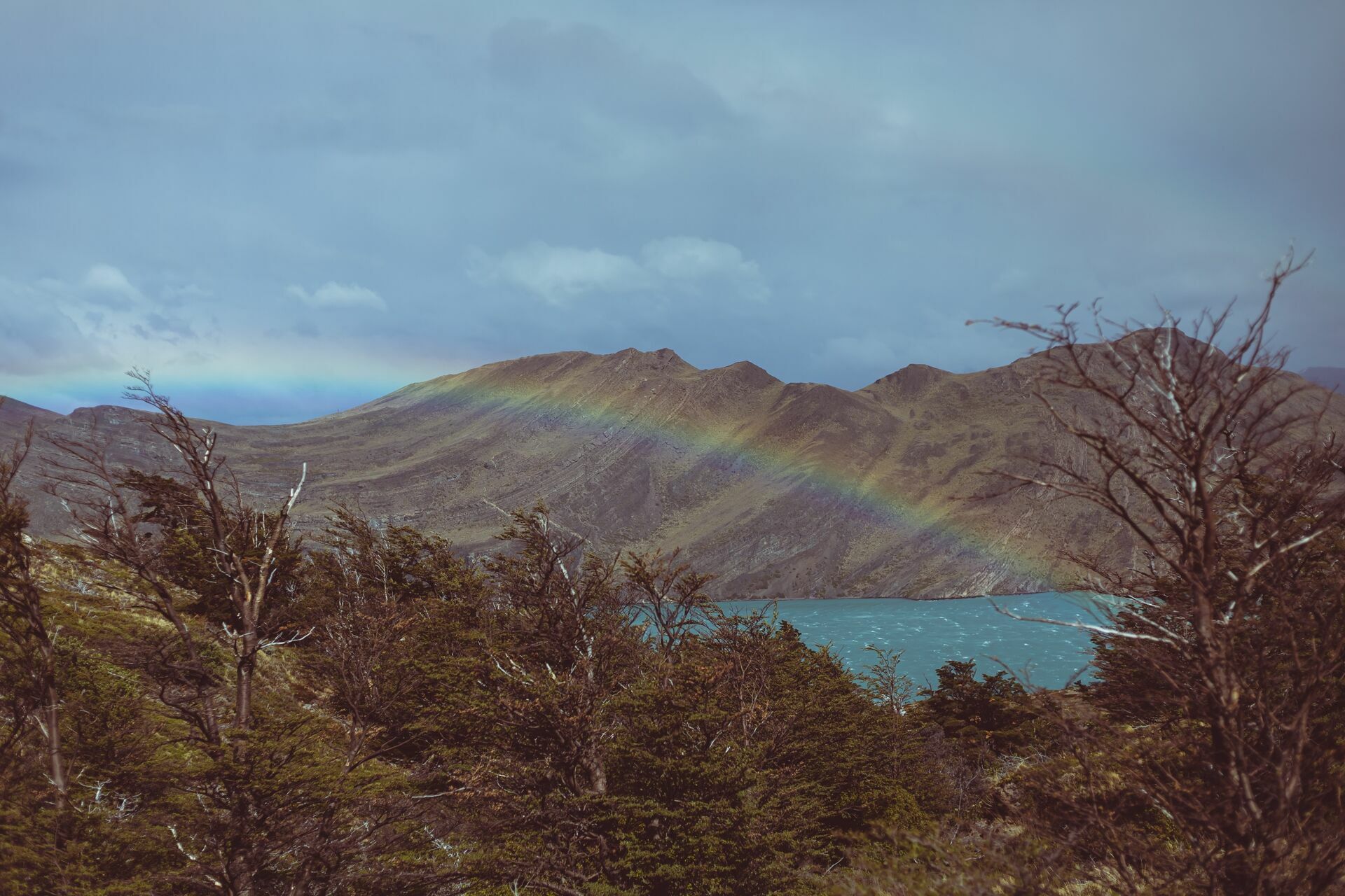 Foto Circuito W Torres del Paine - Uma travessia mágica - Imagem 26