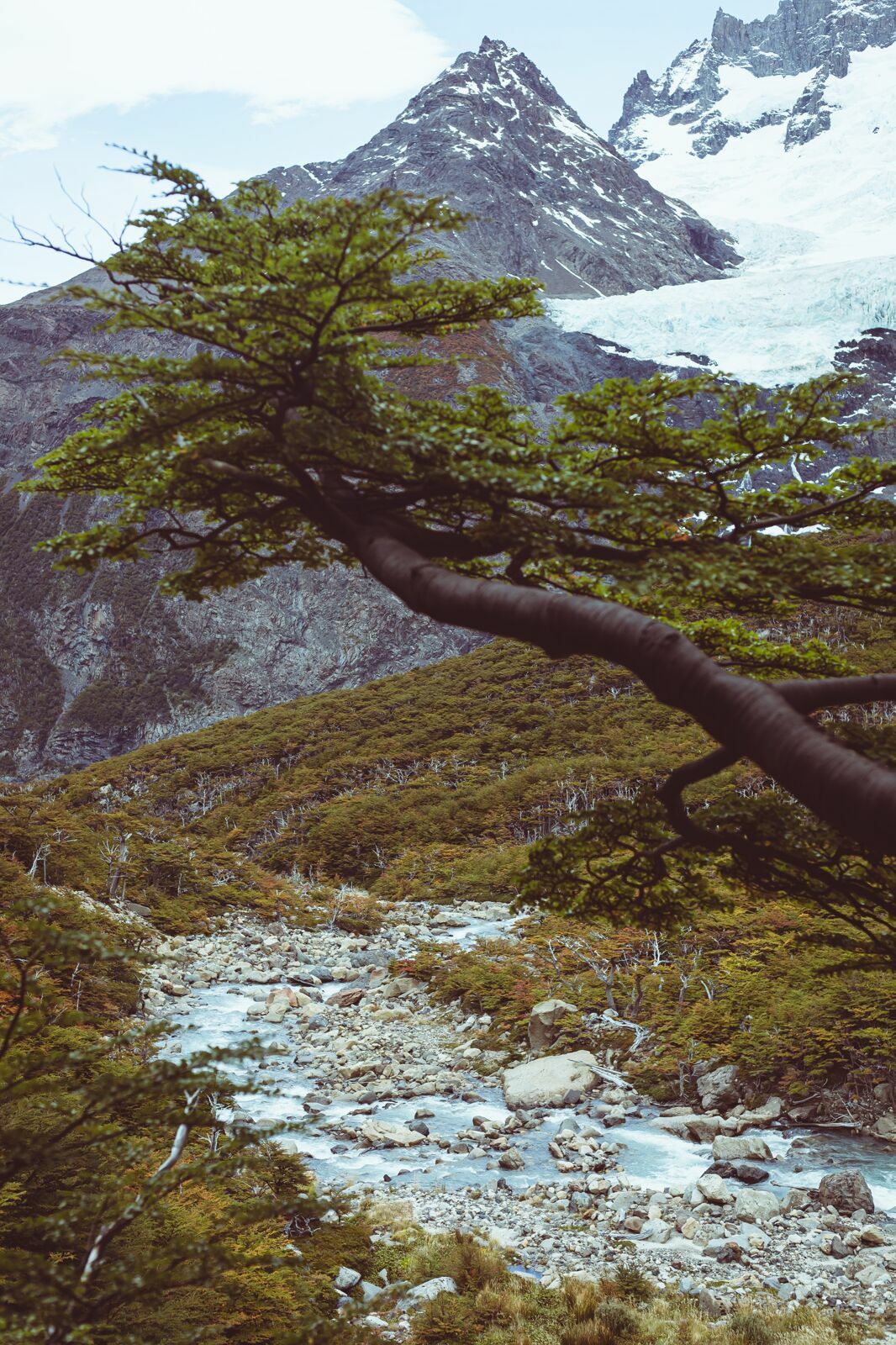 Foto Circuito W Torres del Paine - Uma travessia mágica - Imagem 20