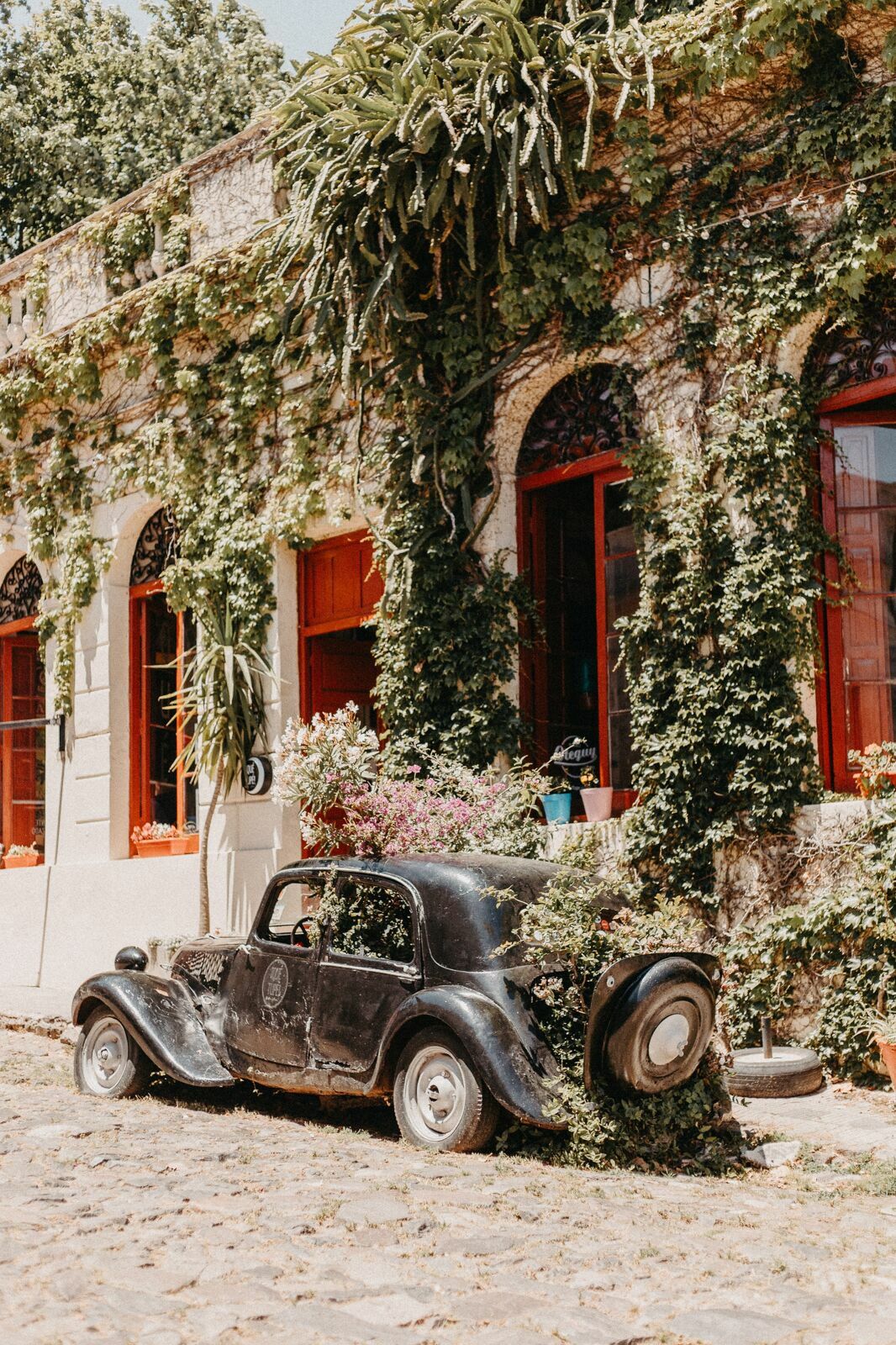 Foto Um grande bairro chamado Uruguay Foto Um grande bairro chamado Uruguay - Imagem 11