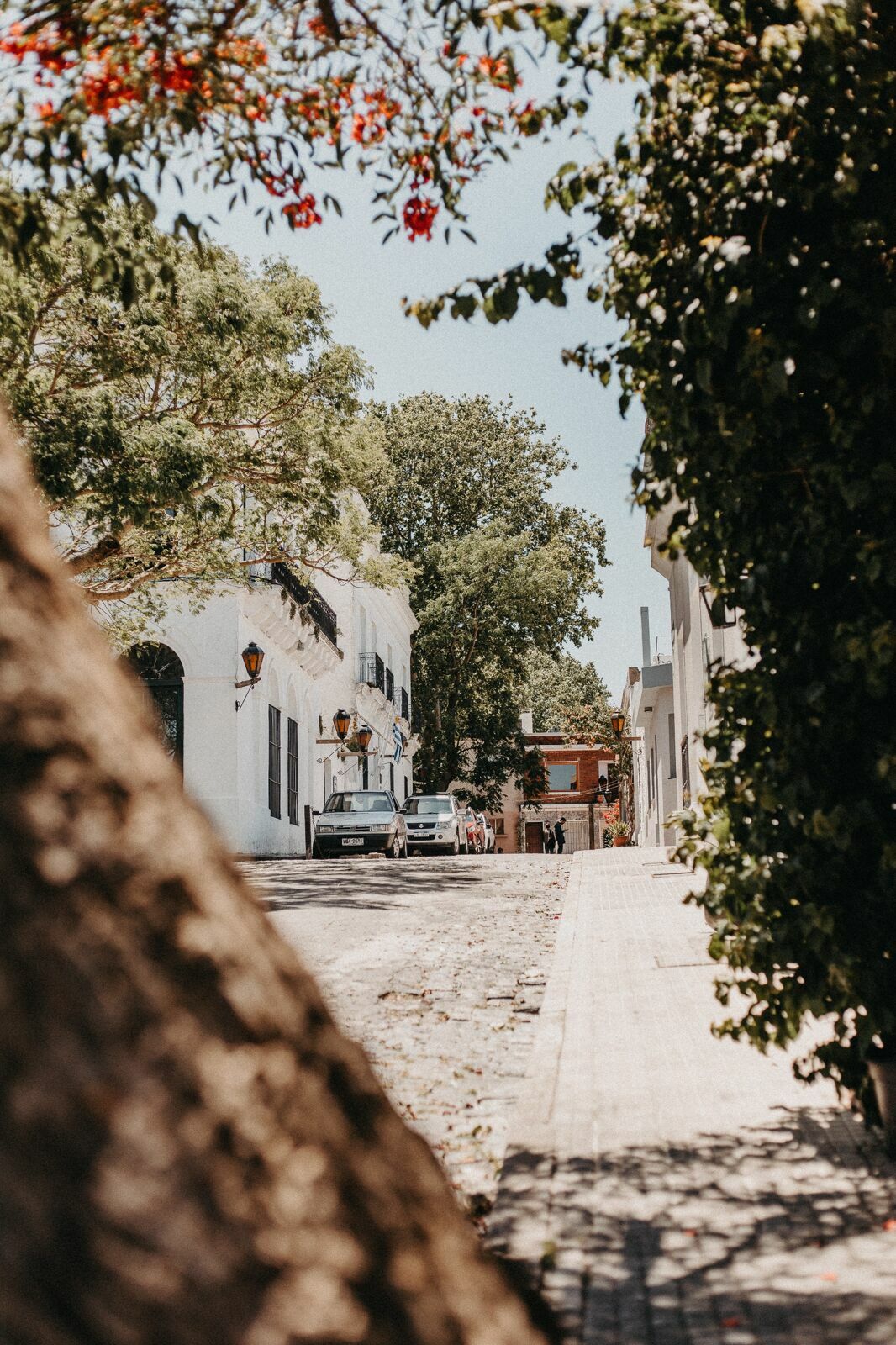 Foto Um grande bairro chamado Uruguay Foto Um grande bairro chamado Uruguay - Imagem 6