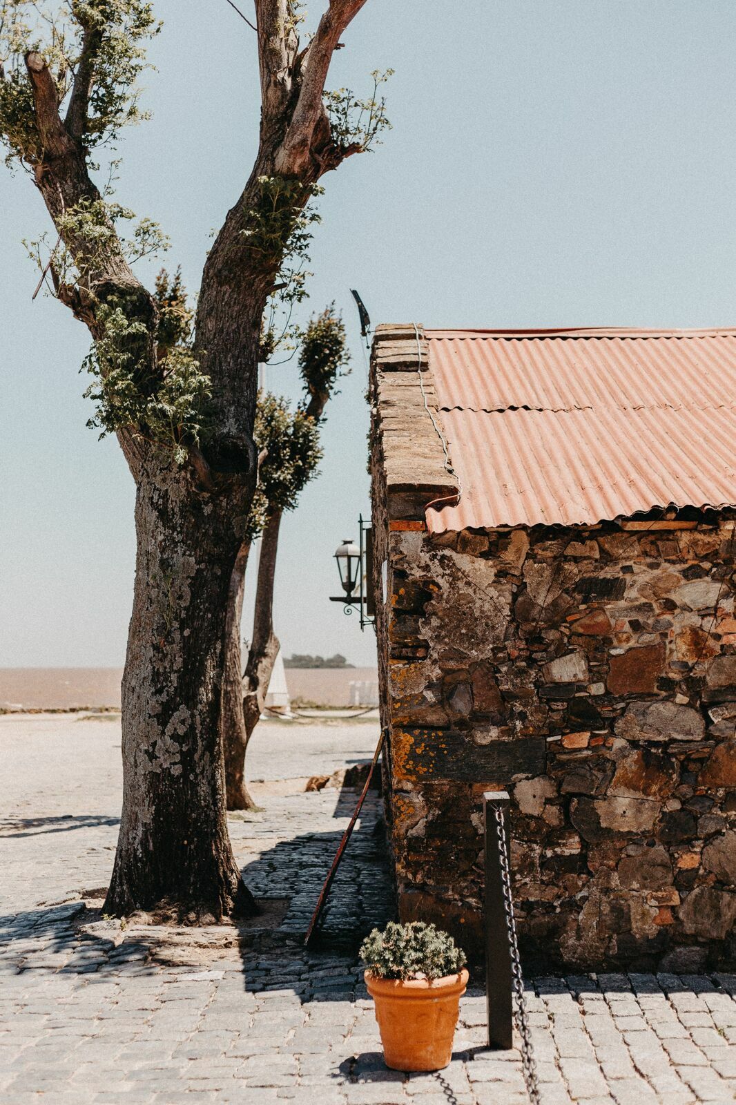 Foto Um grande bairro chamado Uruguay Foto Um grande bairro chamado Uruguay - Imagem 15