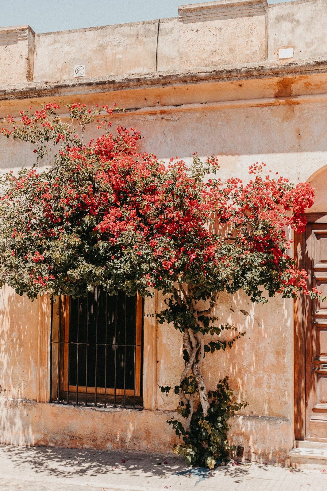 Foto Um grande bairro chamado Uruguay Foto Um grande bairro chamado Uruguay - Imagem 14