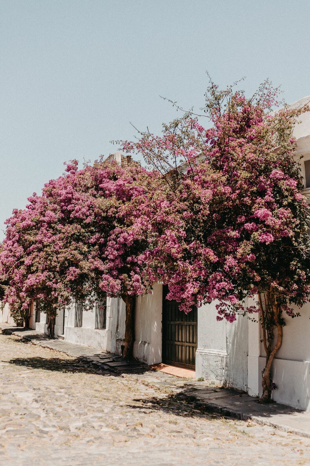 Foto Um grande bairro chamado Uruguay Foto Um grande bairro chamado Uruguay - Imagem 10