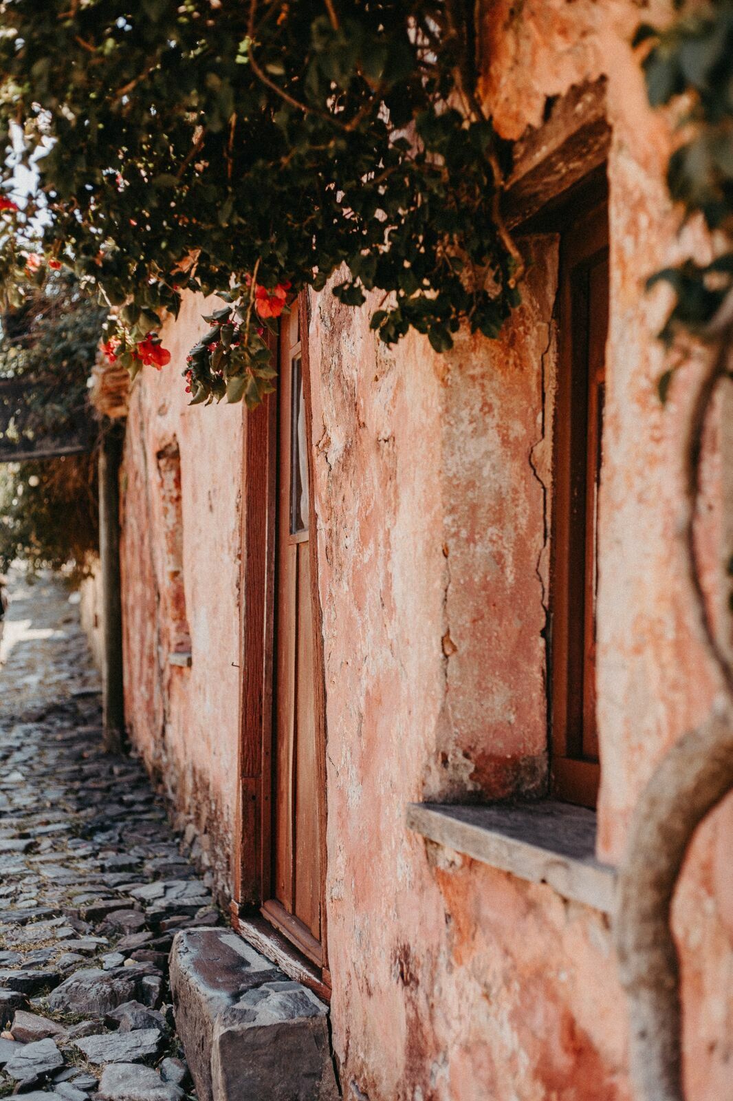 Foto Um grande bairro chamado Uruguay Foto Um grande bairro chamado Uruguay - Imagem 2