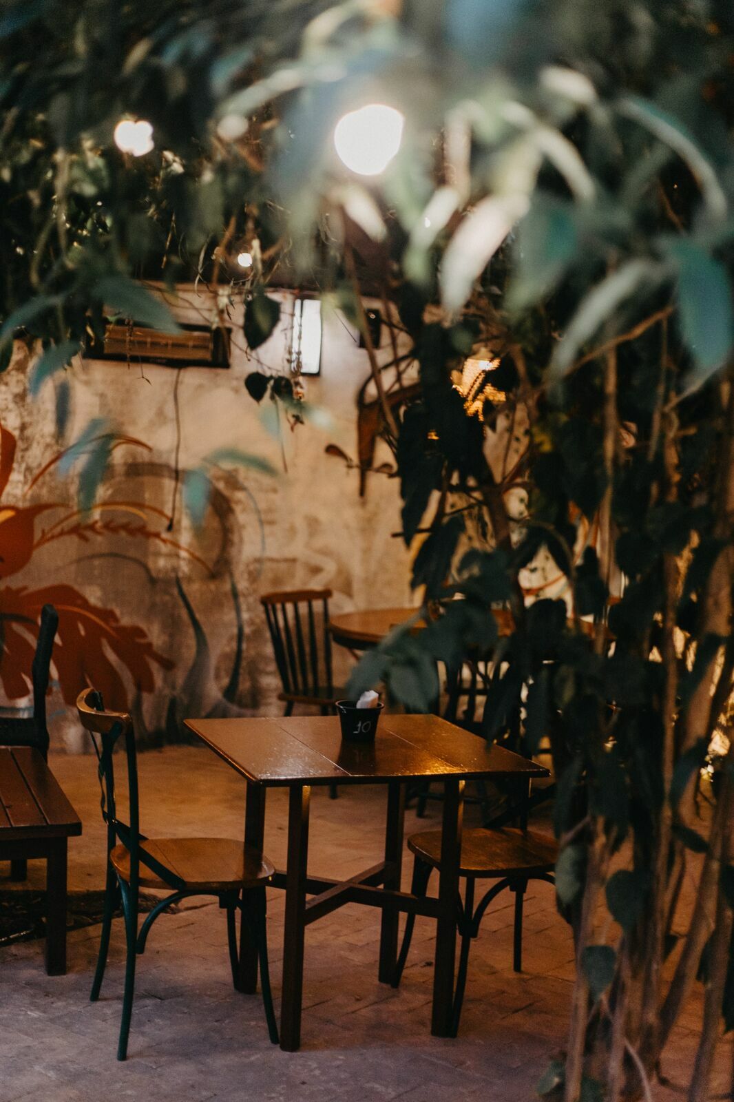 Foto Serra da Mantiqueira: uma viagem com aroma de café Foto Serra da Mantiqueira: uma viagem com aroma de café - Imagem 31