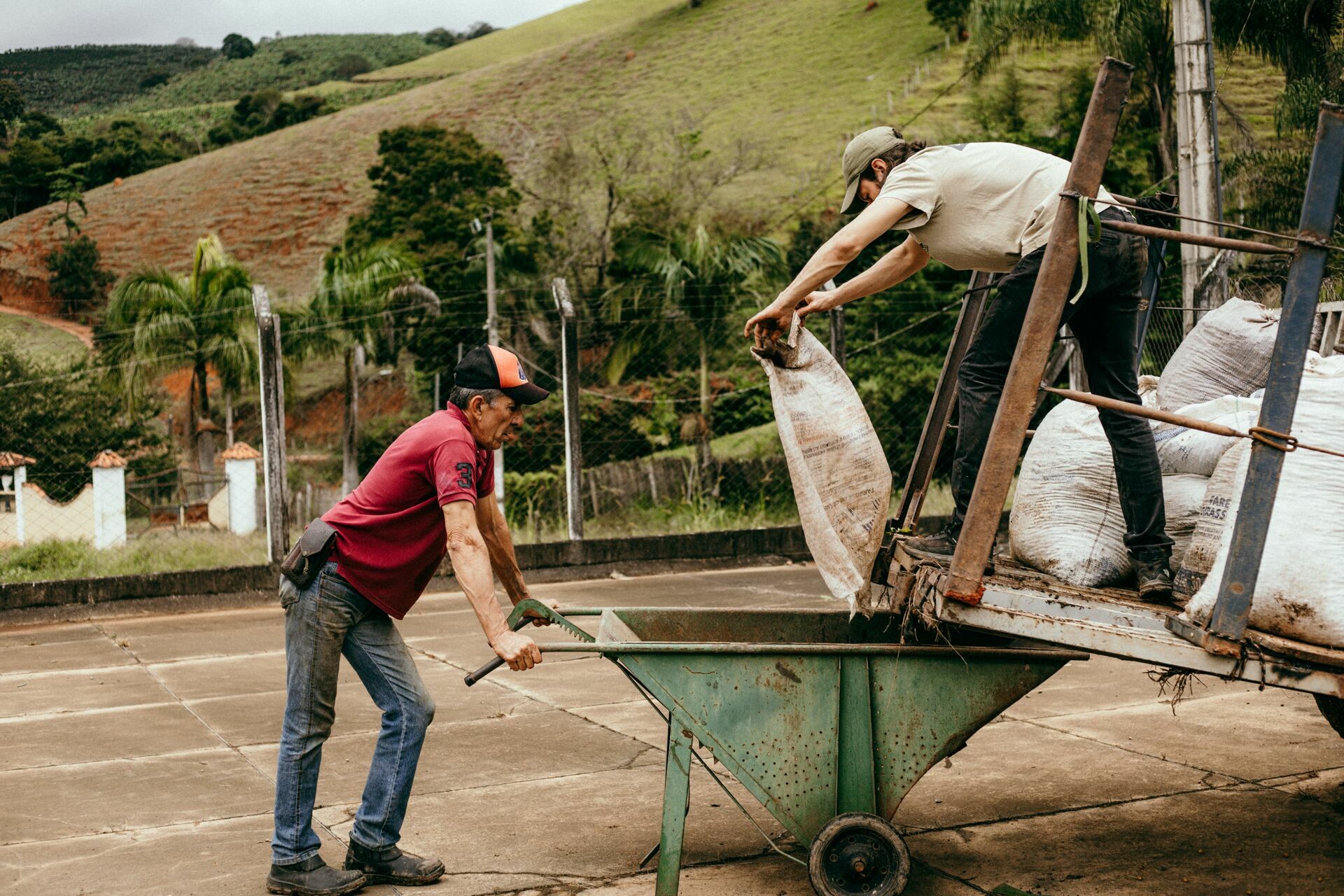 Foto Serra da Mantiqueira: uma viagem com aroma de café Foto Serra da Mantiqueira: uma viagem com aroma de café - Imagem 107