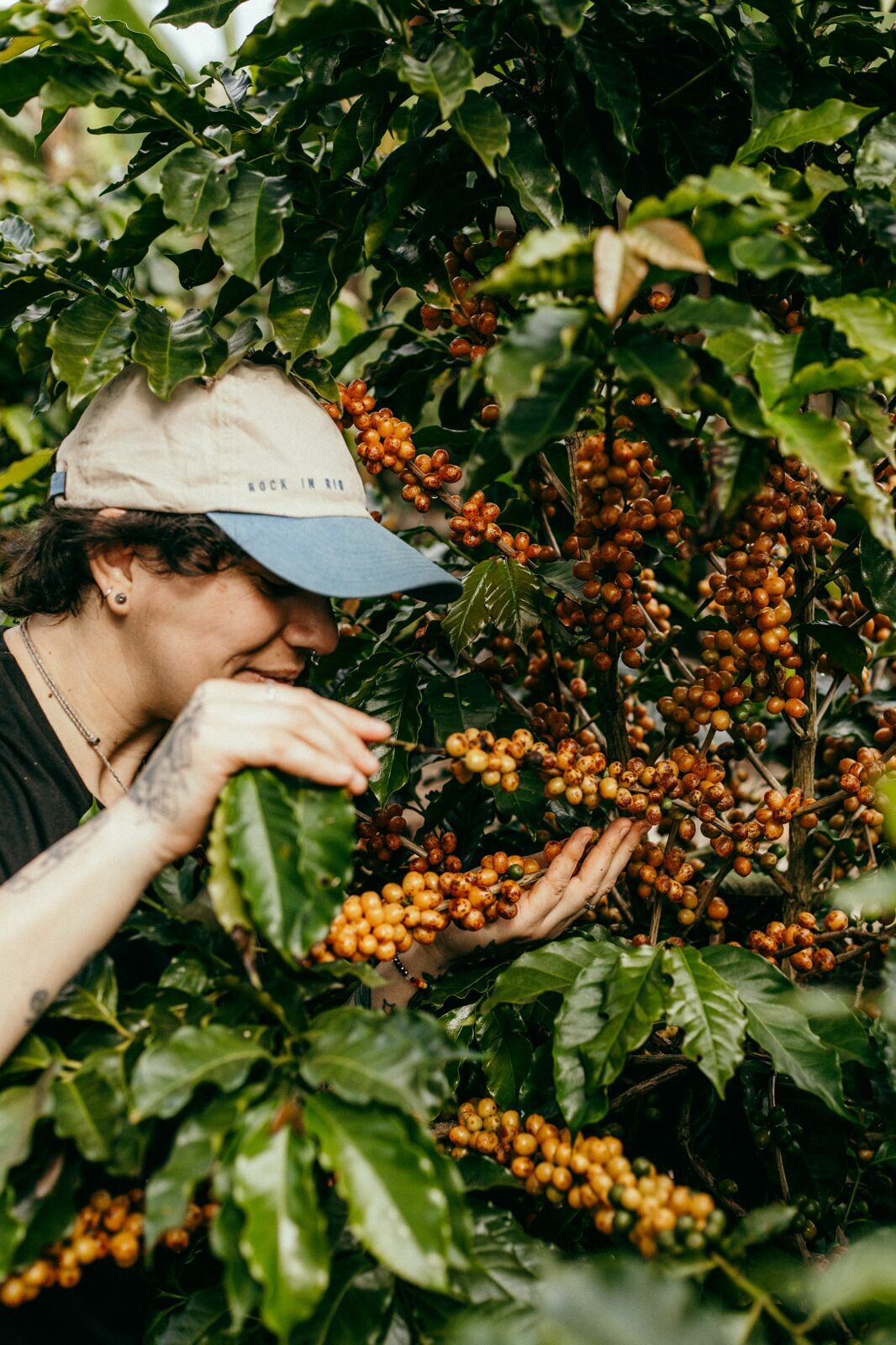 Foto Serra da Mantiqueira: uma viagem com aroma de café Foto Serra da Mantiqueira: uma viagem com aroma de café - Imagem 81