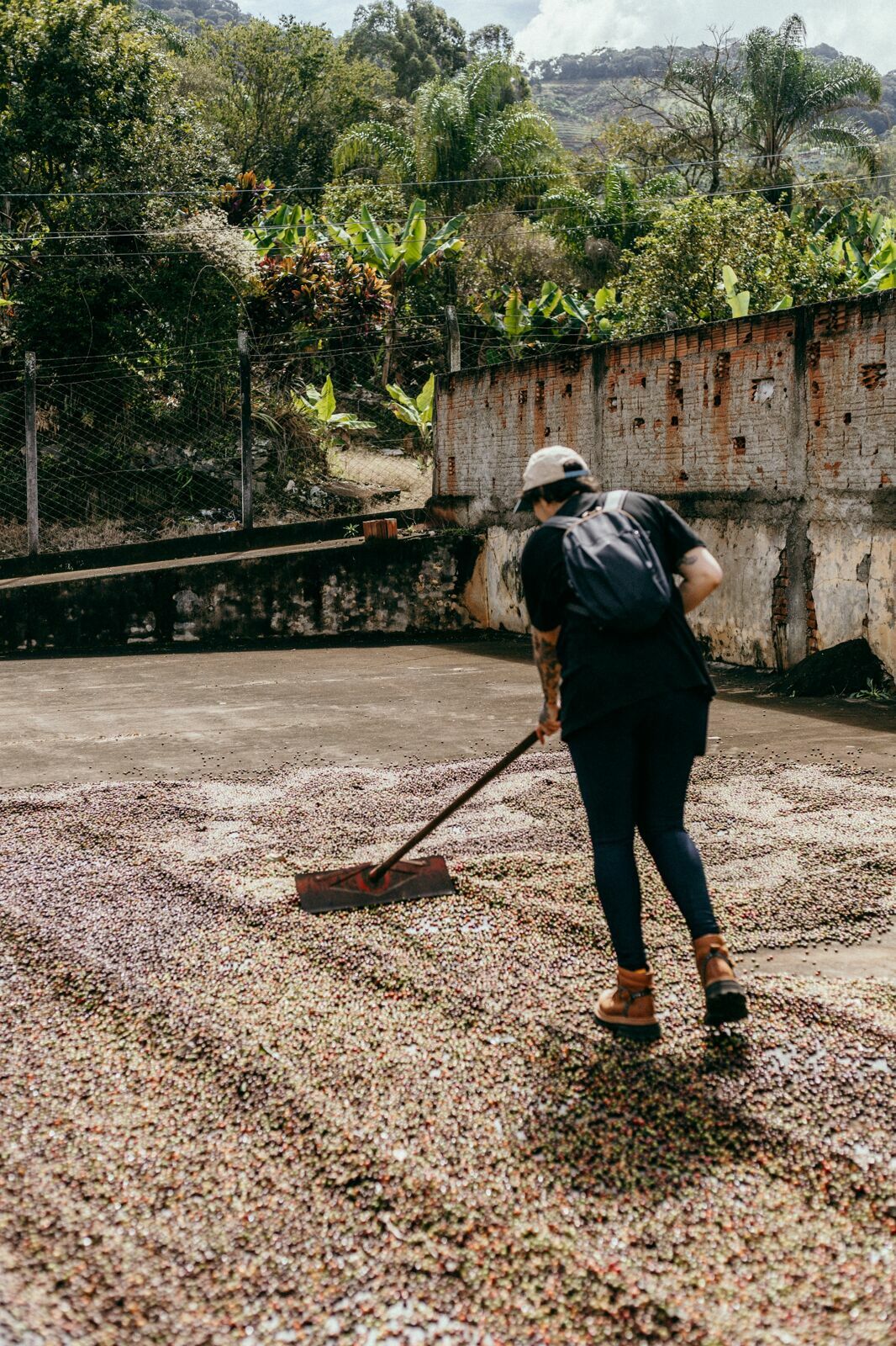 Foto Serra da Mantiqueira: uma viagem com aroma de café Foto Serra da Mantiqueira: uma viagem com aroma de café - Imagem 37