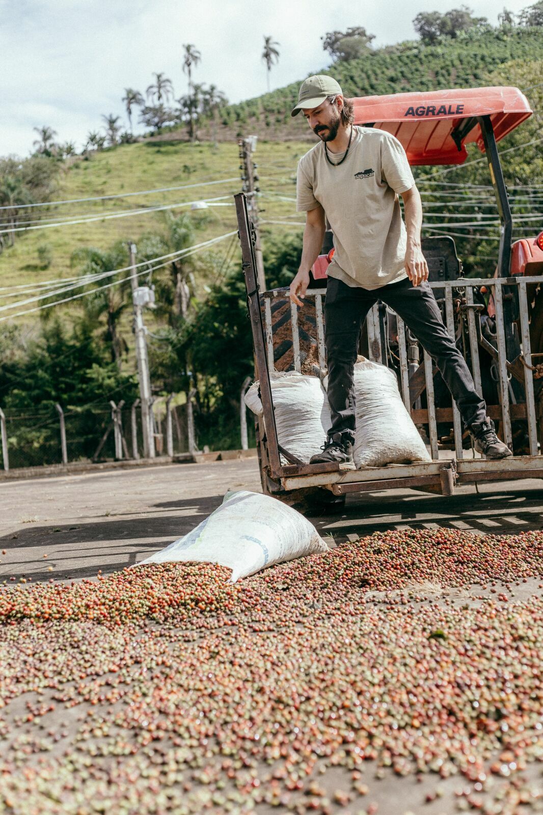 Foto Serra da Mantiqueira: uma viagem com aroma de café Foto Serra da Mantiqueira: uma viagem com aroma de café - Imagem 55