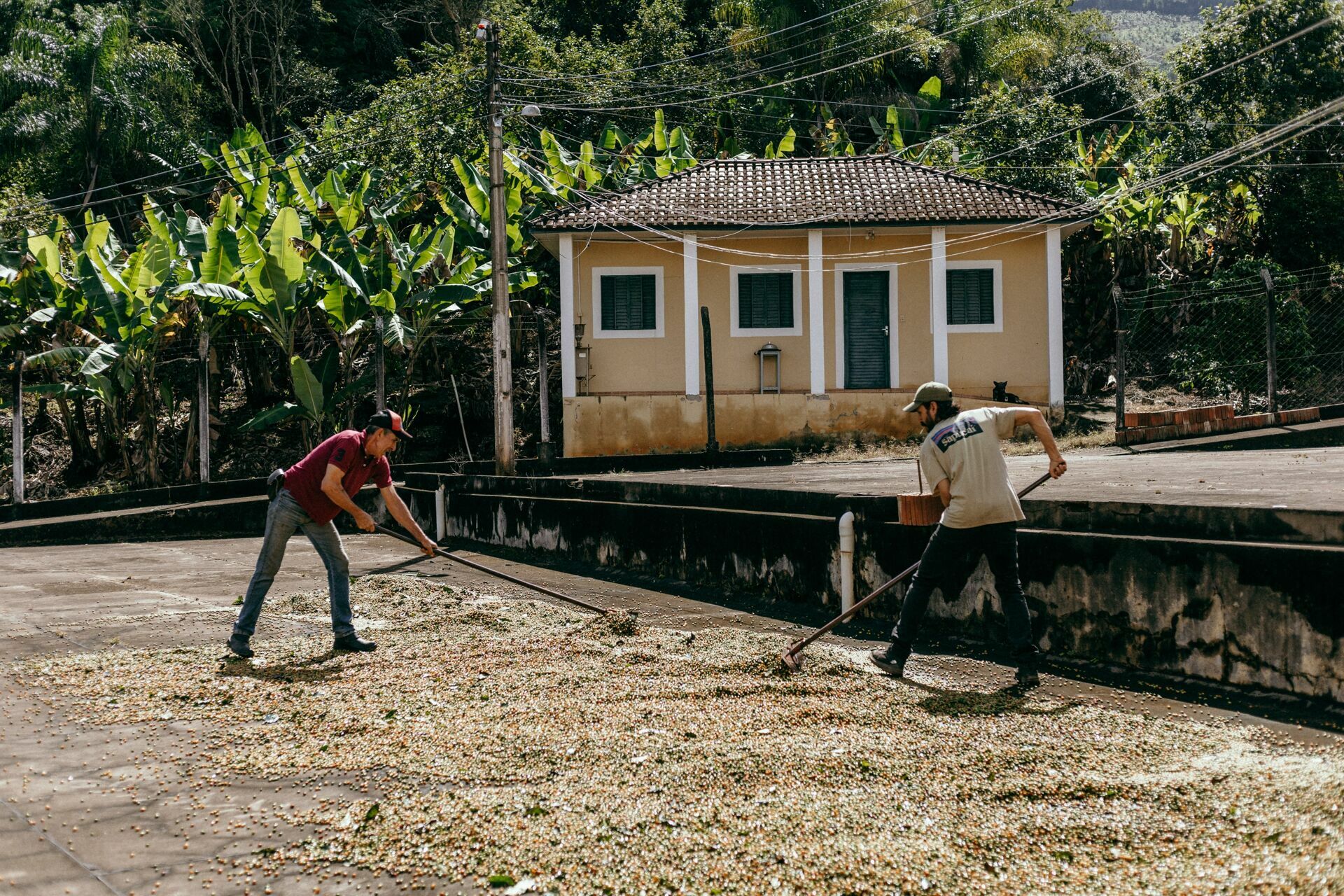 Foto Serra da Mantiqueira: uma viagem com aroma de café Foto Serra da Mantiqueira: uma viagem com aroma de café - Imagem 49