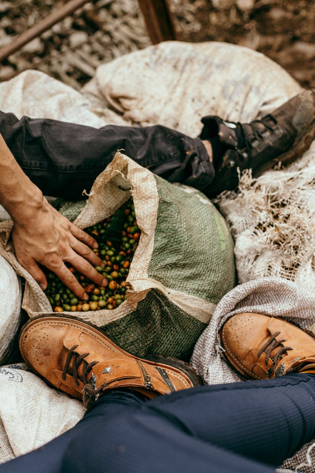 Foto Serra da Mantiqueira: uma viagem com aroma de café Foto Serra da Mantiqueira: uma viagem com aroma de café - Imagem 100