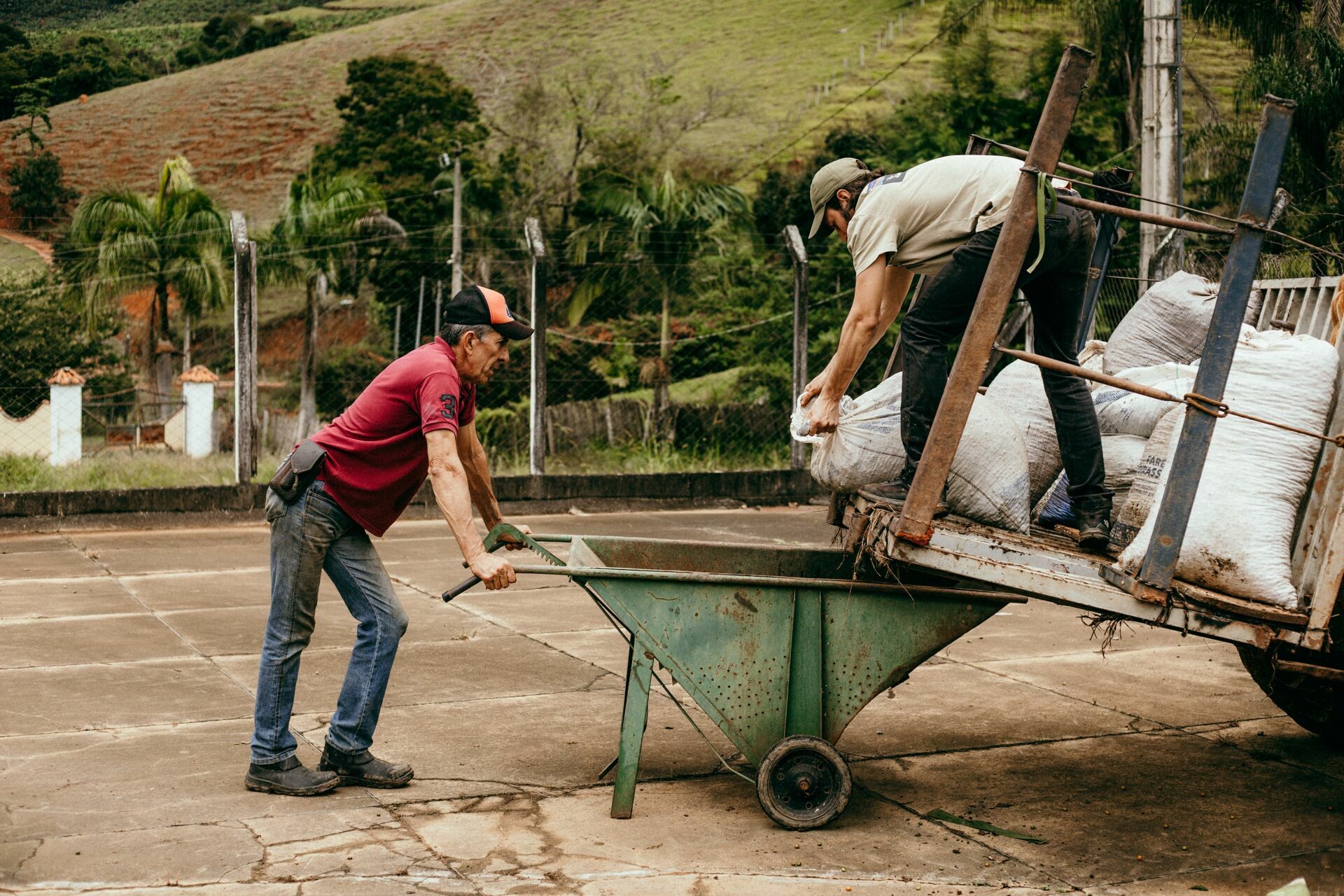 Foto Serra da Mantiqueira: uma viagem com aroma de café Foto Serra da Mantiqueira: uma viagem com aroma de café - Imagem 108