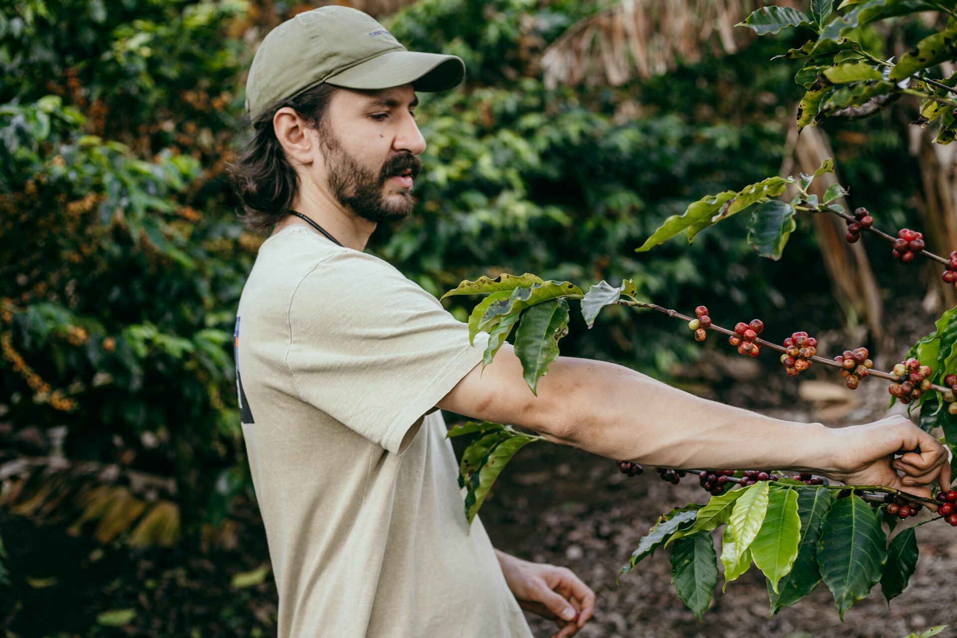 Foto Serra da Mantiqueira: uma viagem com aroma de café Foto Serra da Mantiqueira: uma viagem com aroma de café - Imagem 71