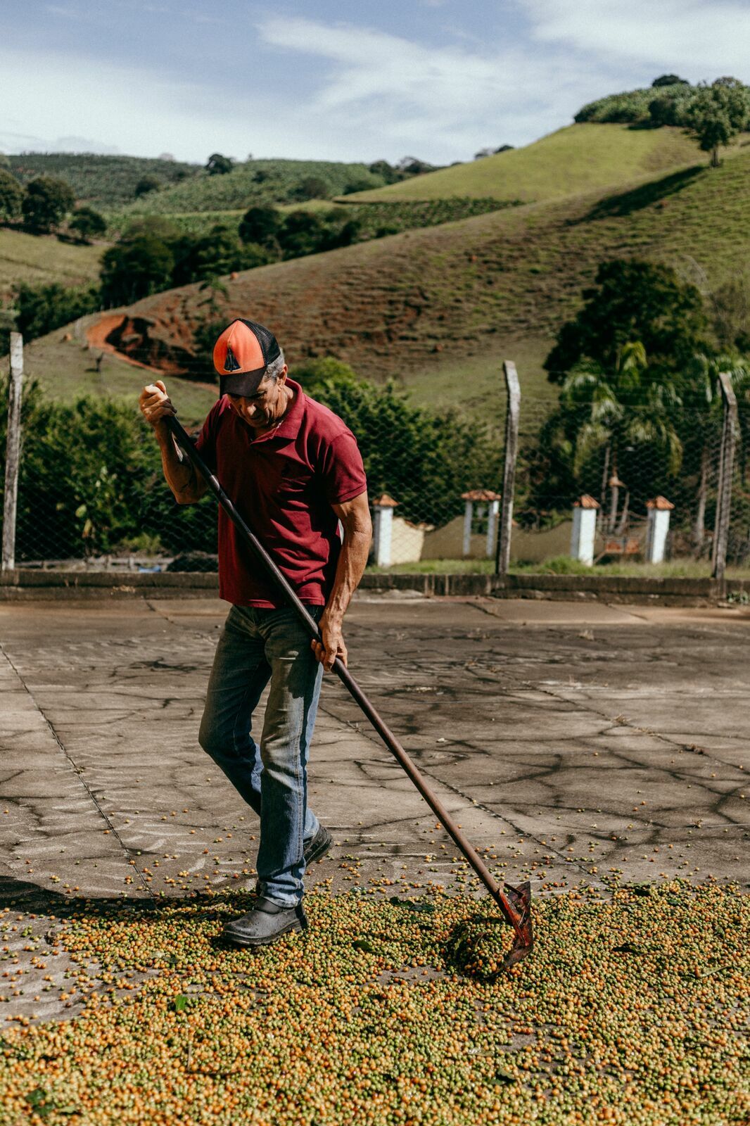 Foto Serra da Mantiqueira: uma viagem com aroma de café Foto Serra da Mantiqueira: uma viagem com aroma de café - Imagem 52
