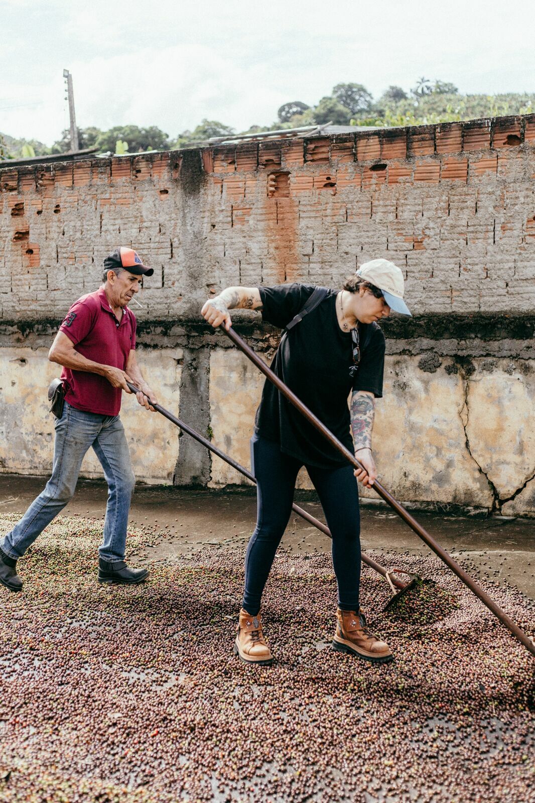 Foto Serra da Mantiqueira: uma viagem com aroma de café Foto Serra da Mantiqueira: uma viagem com aroma de café - Imagem 42