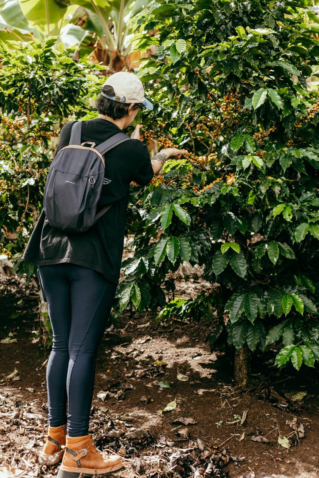 Foto Serra da Mantiqueira: uma viagem com aroma de café Foto Serra da Mantiqueira: uma viagem com aroma de café - Imagem 76