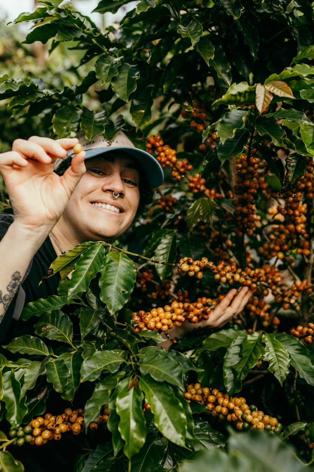 Foto Serra da Mantiqueira: uma viagem com aroma de café Foto Serra da Mantiqueira: uma viagem com aroma de café - Imagem 82