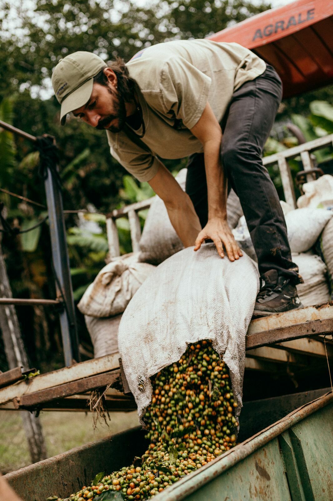 Foto Serra da Mantiqueira: uma viagem com aroma de café Foto Serra da Mantiqueira: uma viagem com aroma de café - Imagem 109