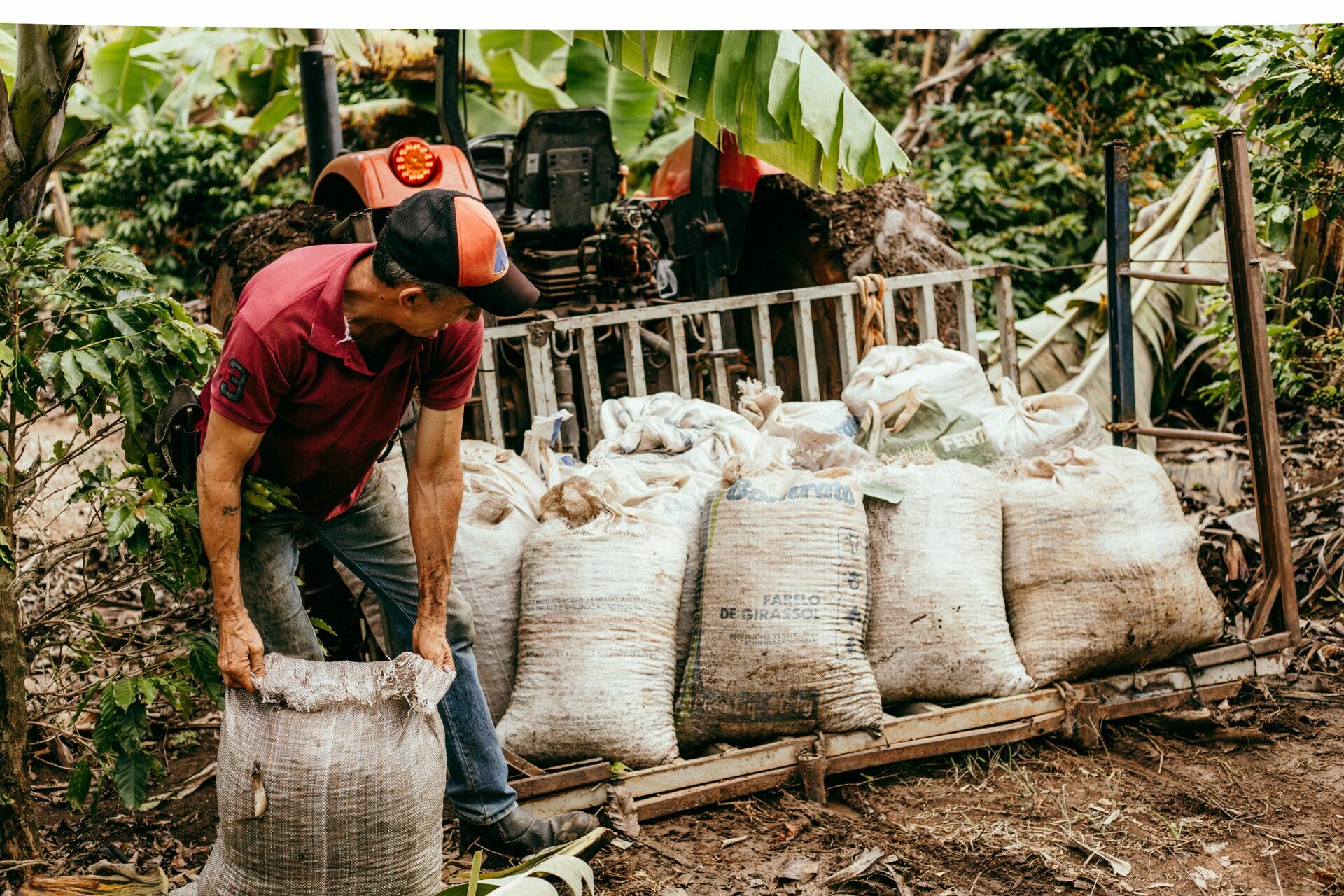Foto Serra da Mantiqueira: uma viagem com aroma de café Foto Serra da Mantiqueira: uma viagem com aroma de café - Imagem 98