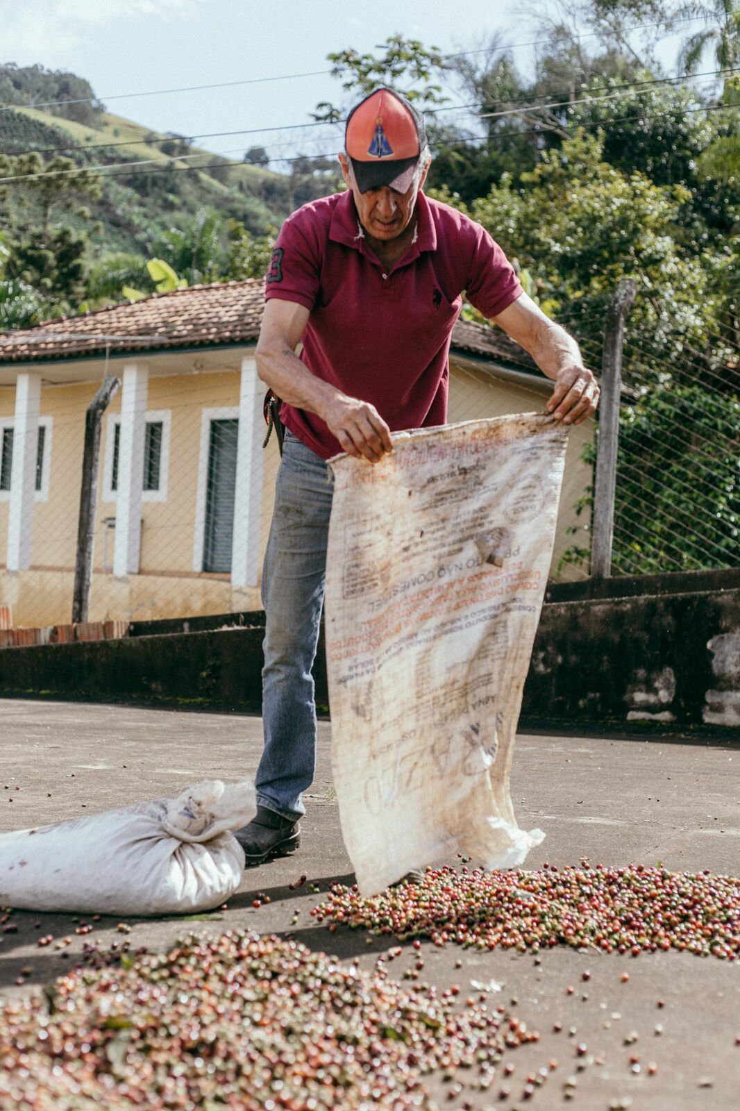 Foto Serra da Mantiqueira: uma viagem com aroma de café Foto Serra da Mantiqueira: uma viagem com aroma de café - Imagem 56